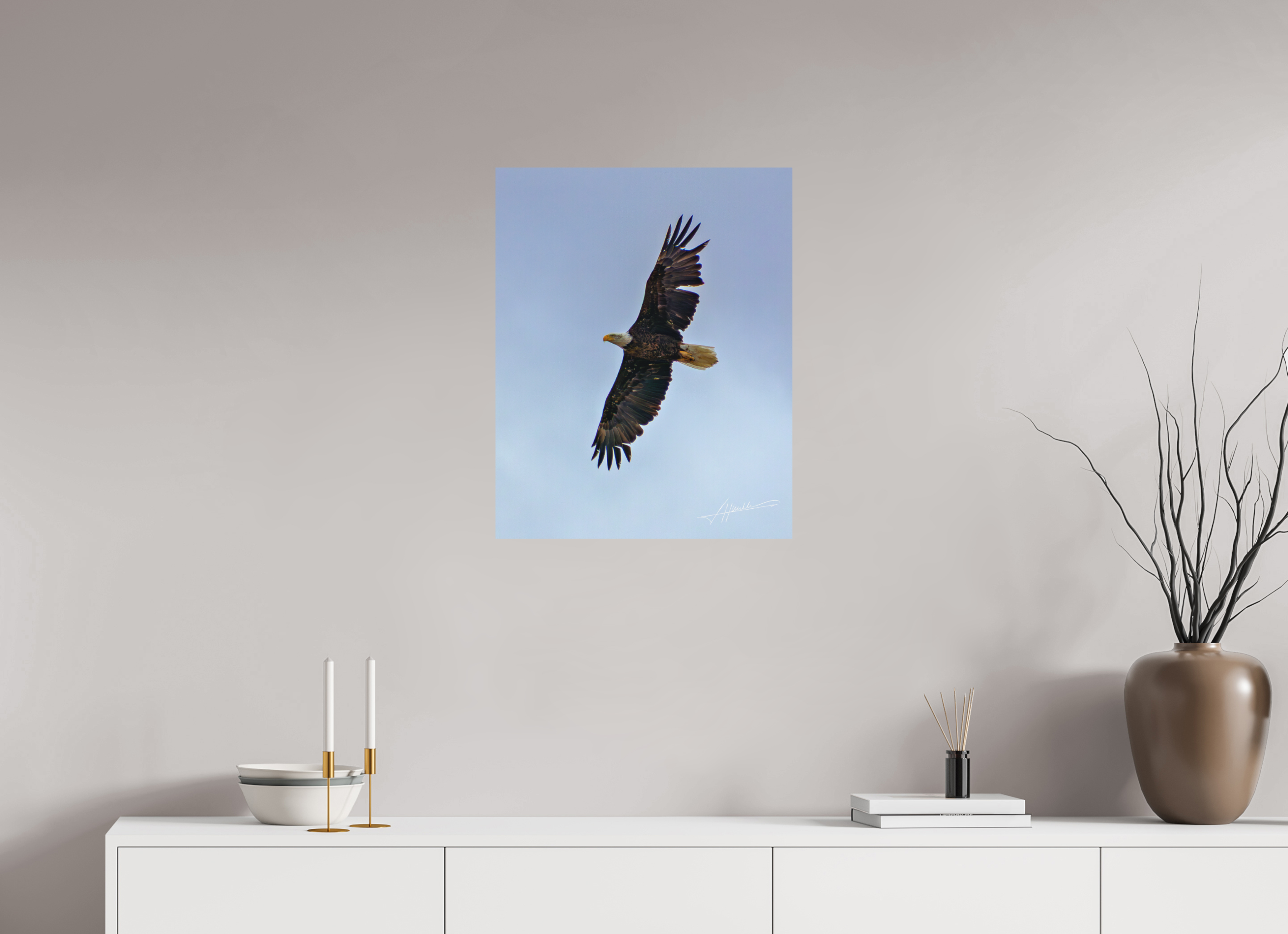 20 x 25″, Metal Dibond Wings Spread