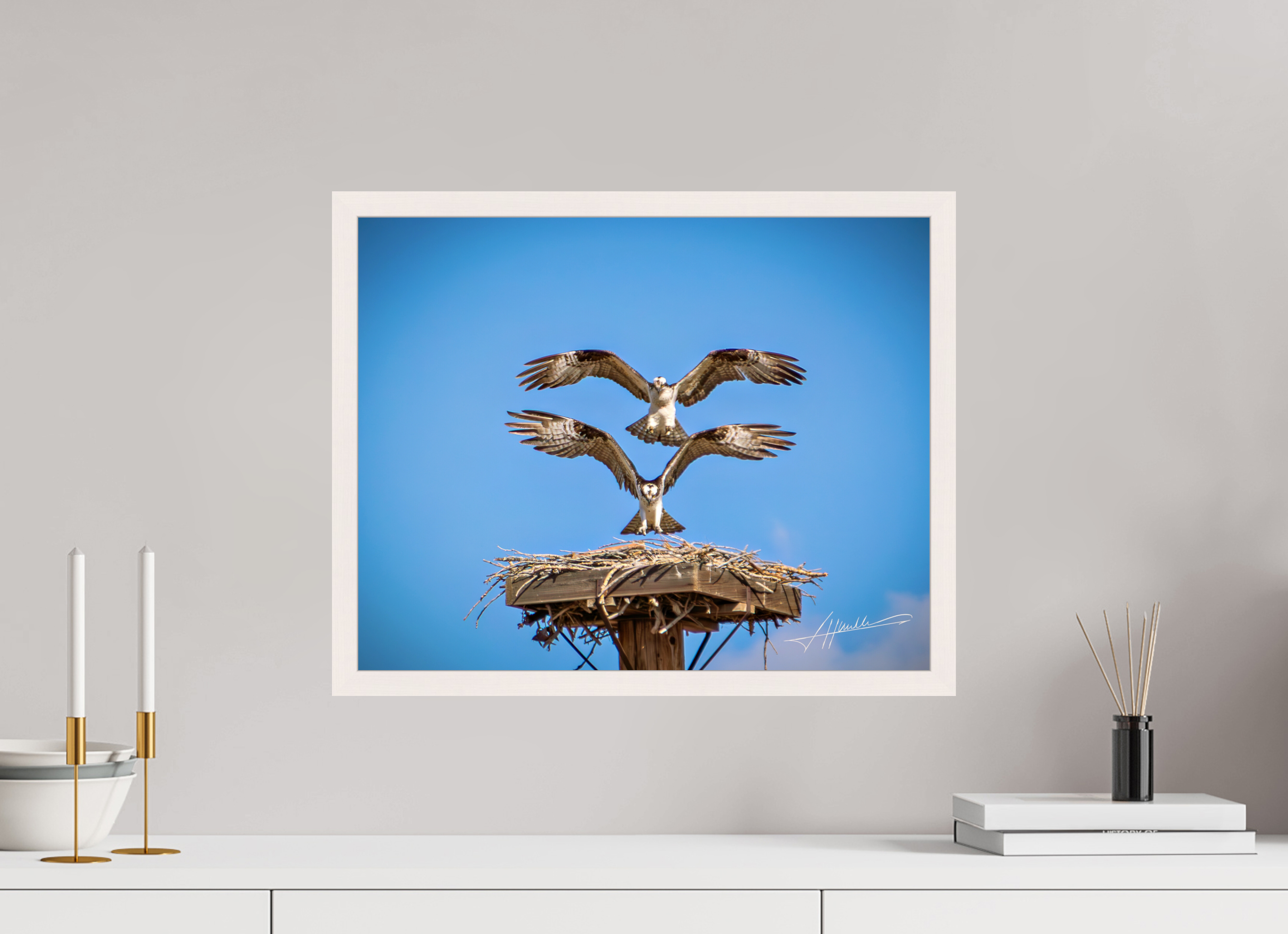 20 x 16″, Gallery Frame Two Osprey Landing