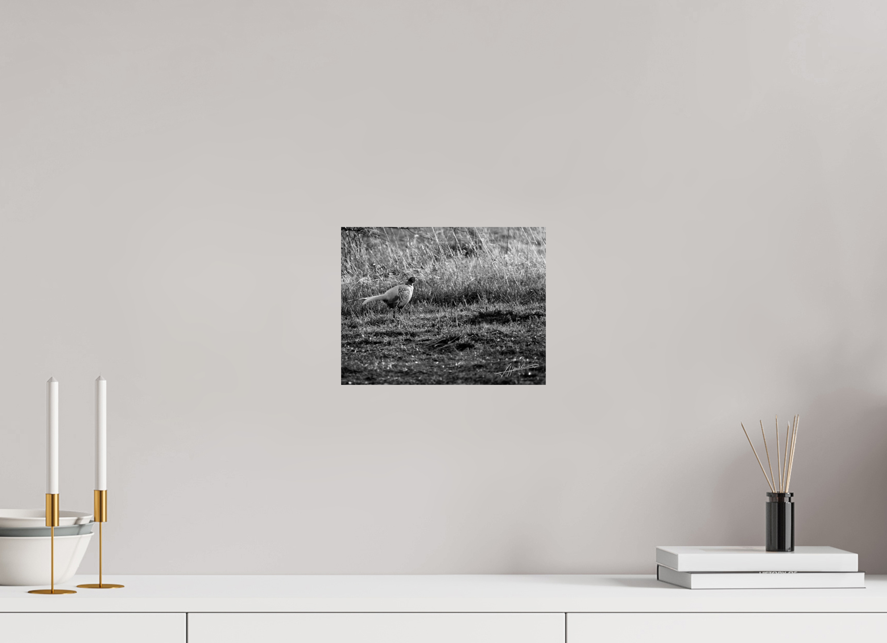 10.4 x 8″, Photo Print On Ilford Baryta Paper Evening Pheasant