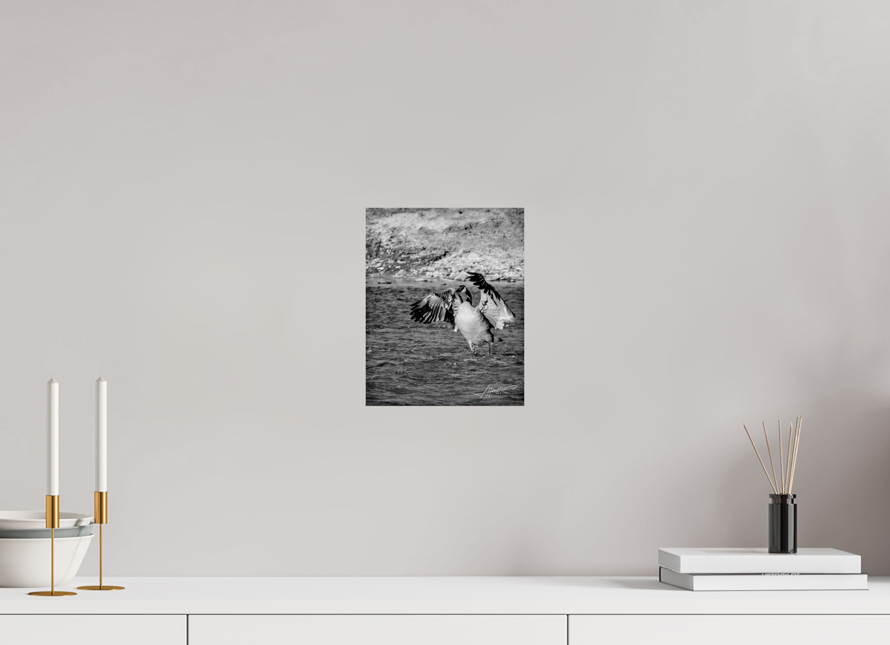 8 x 10″, Photo Print On Ilford Baryta Paper The Bathing Goose