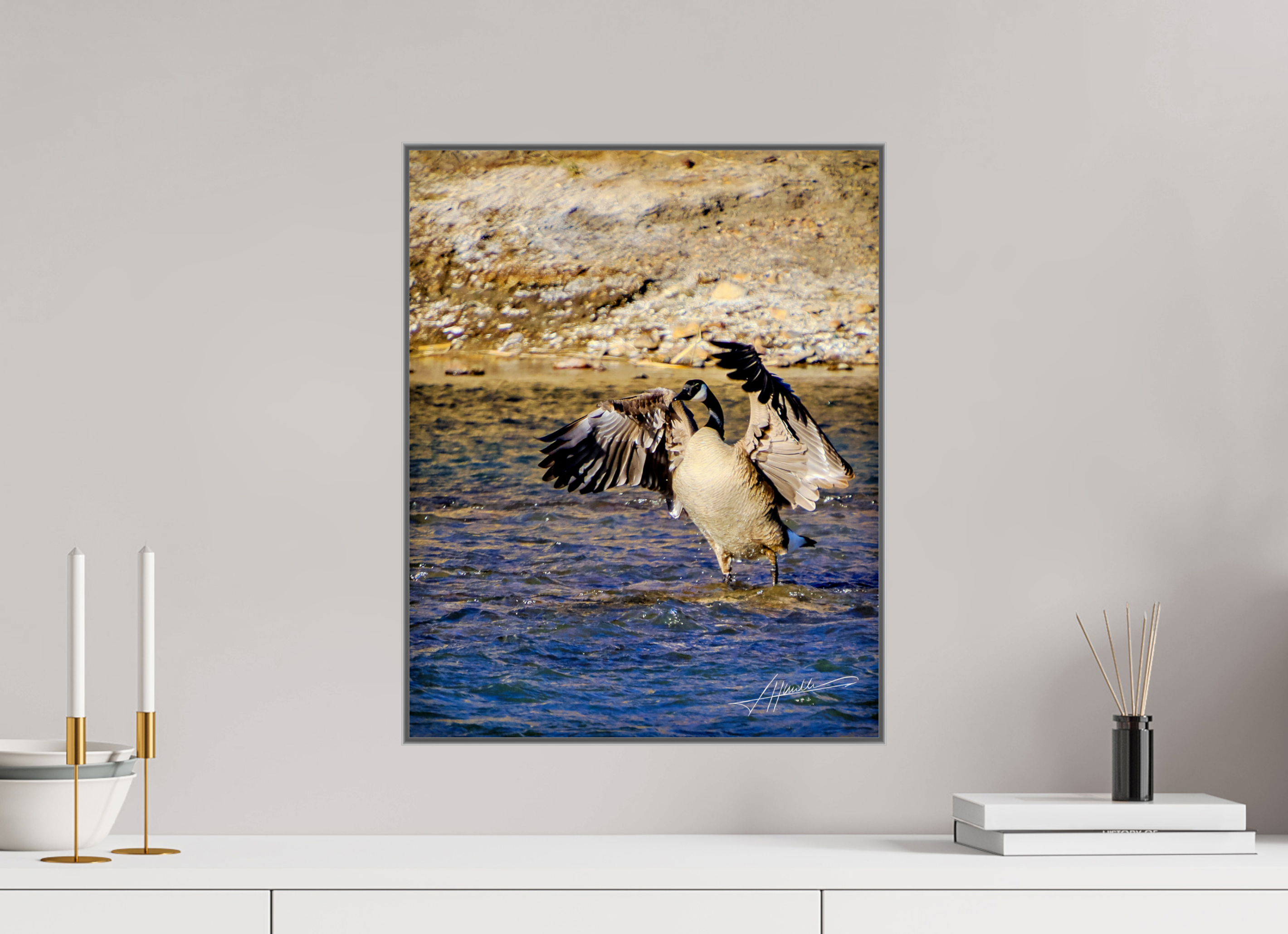 16 x 20″, Aluminum ArtBox The Bathing Goose