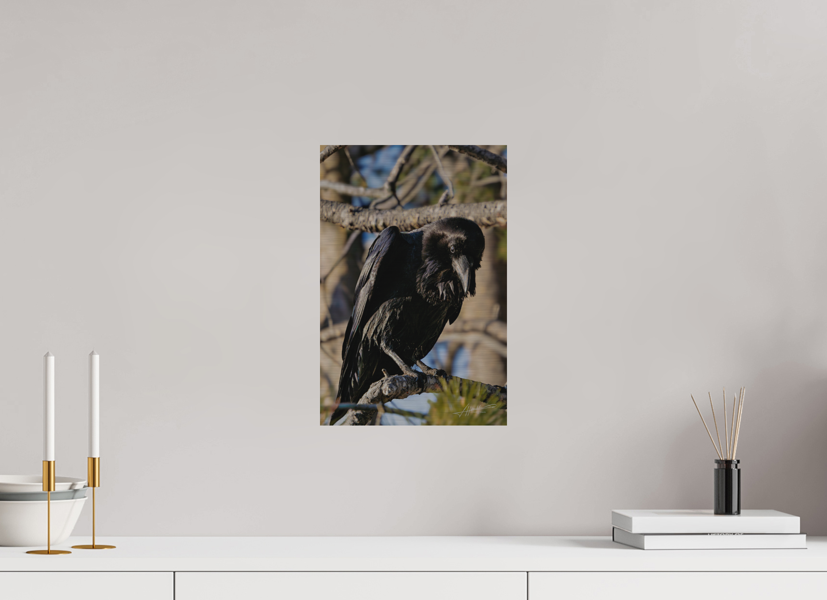 10 x 15″, Direct Brushed Aluminum Morning Raven
