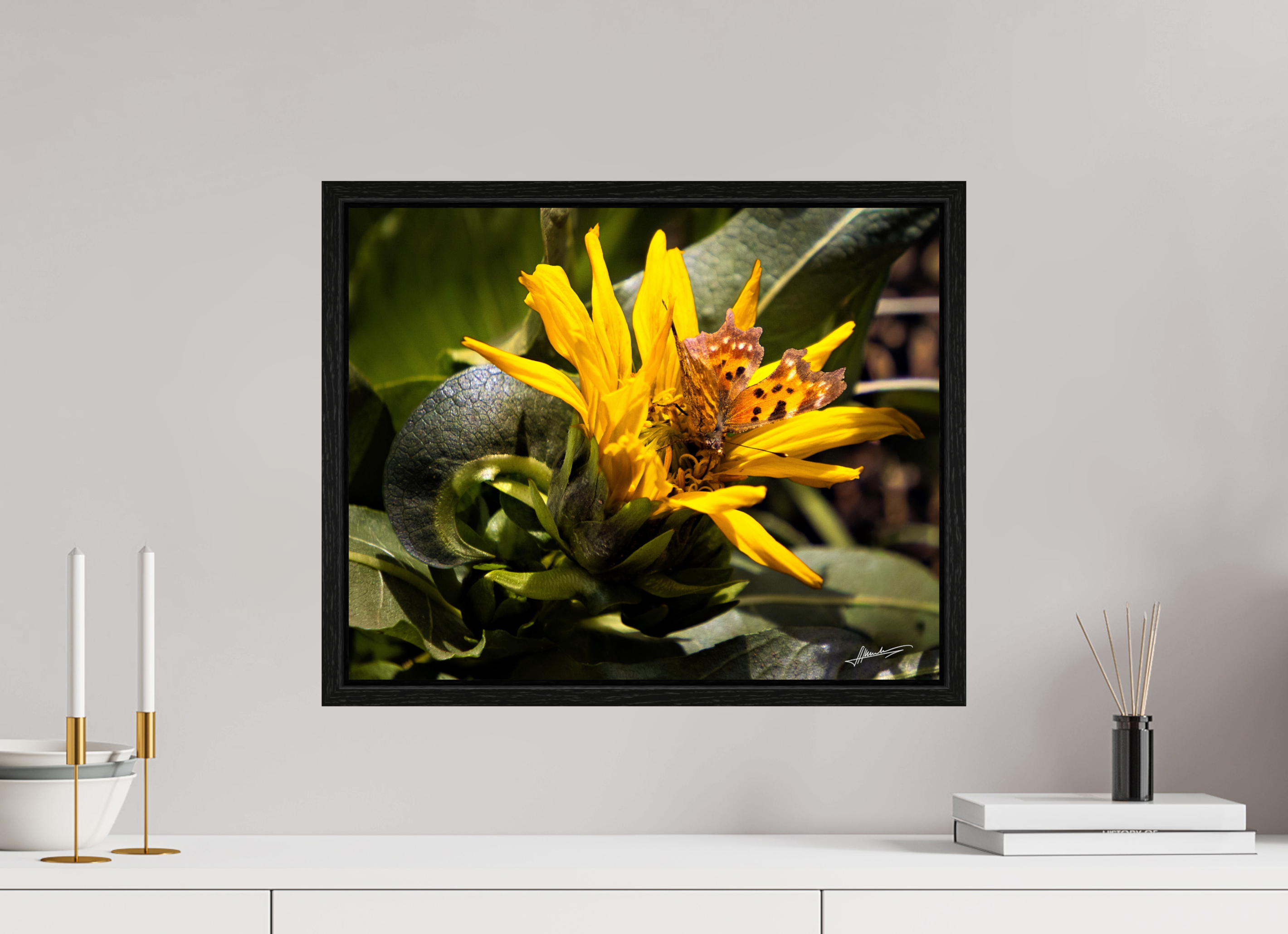 20 x 16″, Floater Frame Busy Butterfly