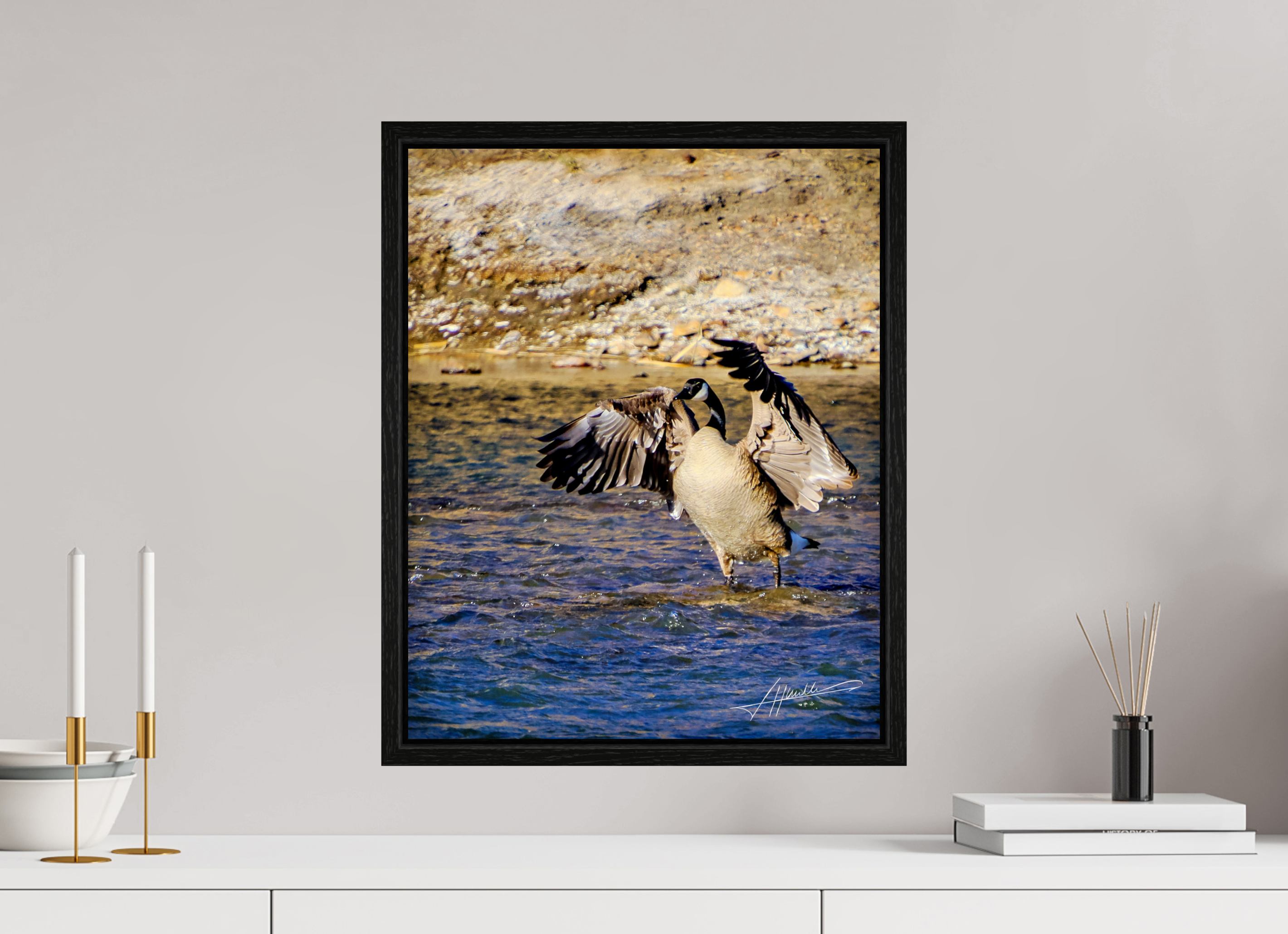 16 x 20″, Floater Frame The Bathing Goose
