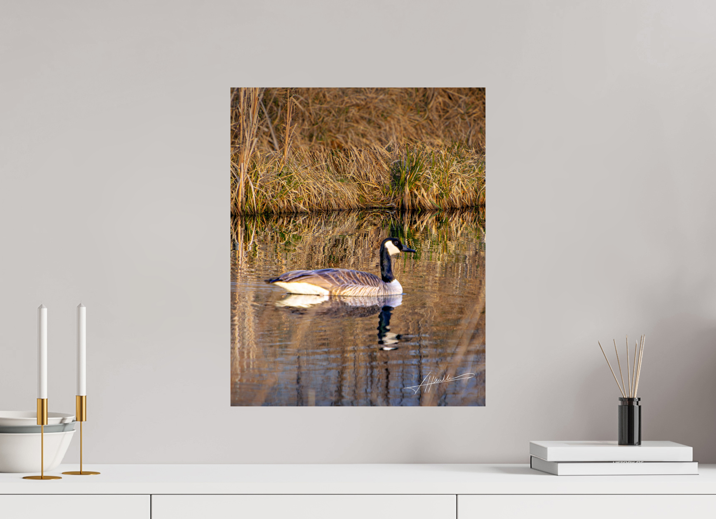 16 x 20″, Fine Art Print A Swimming Reflection