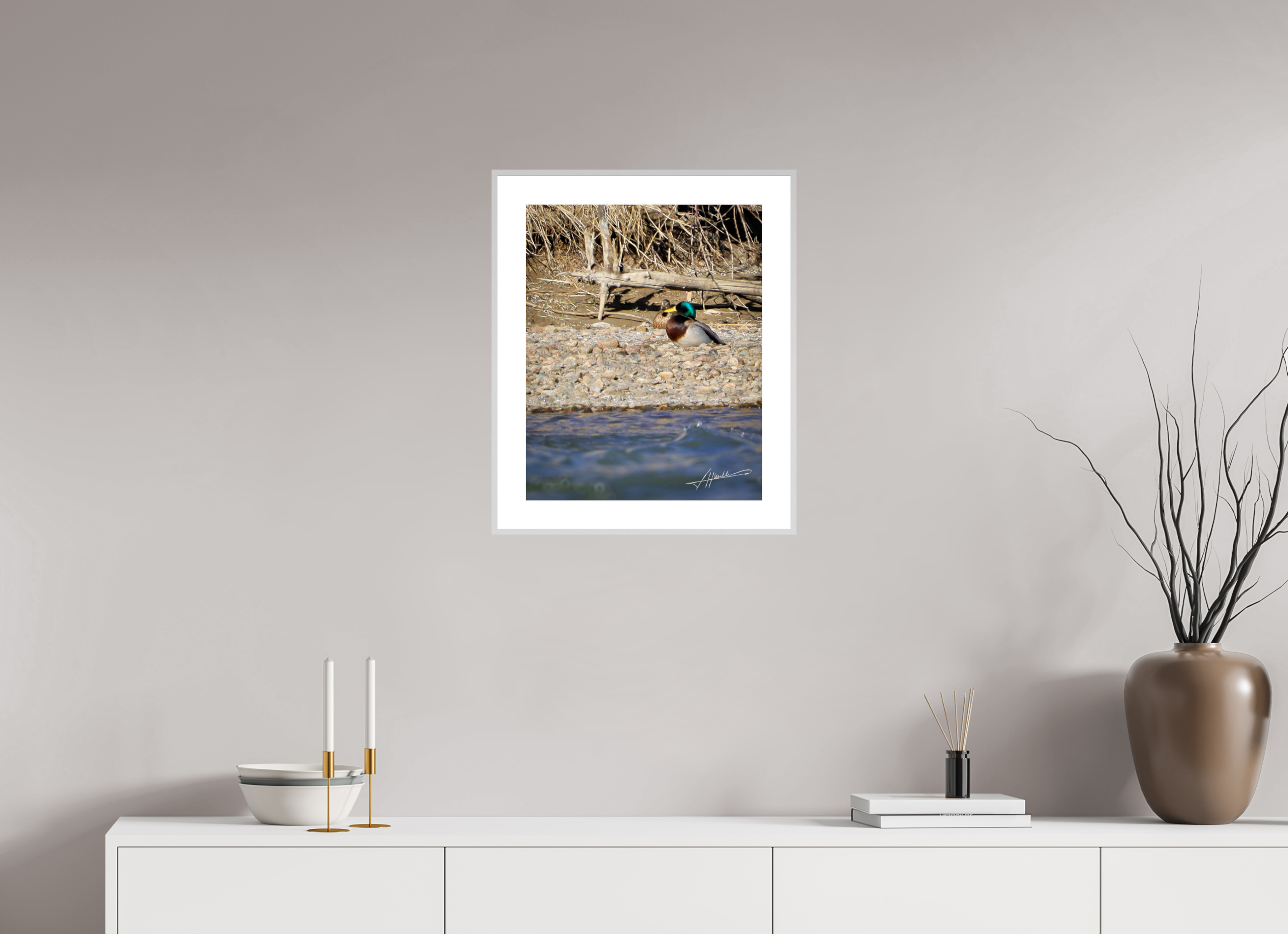 16 x 20″, Changeable Magnetic Frame Sunbathing Mallard