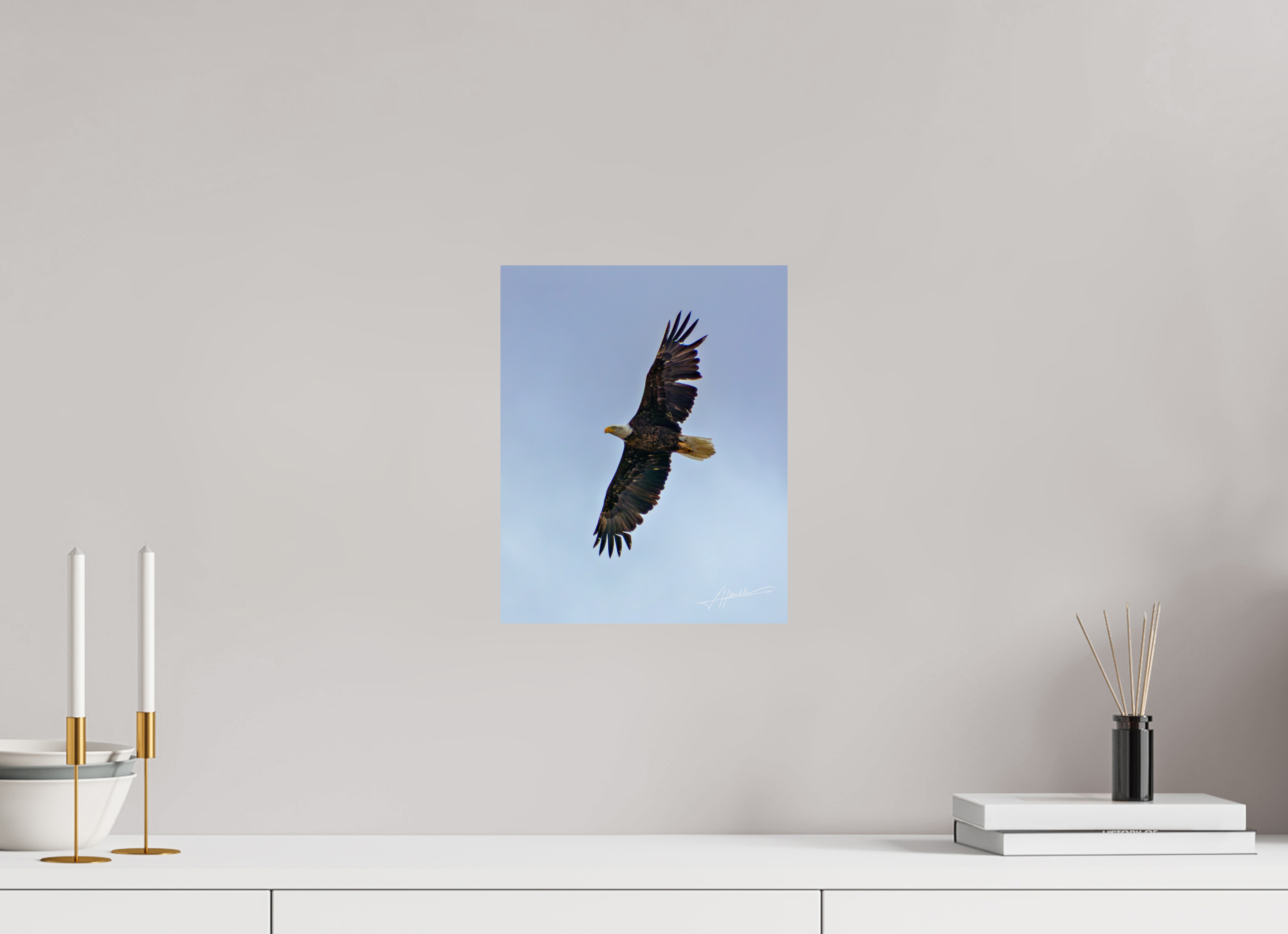 10 x 12.5″, Fine Art Print Wings Spread