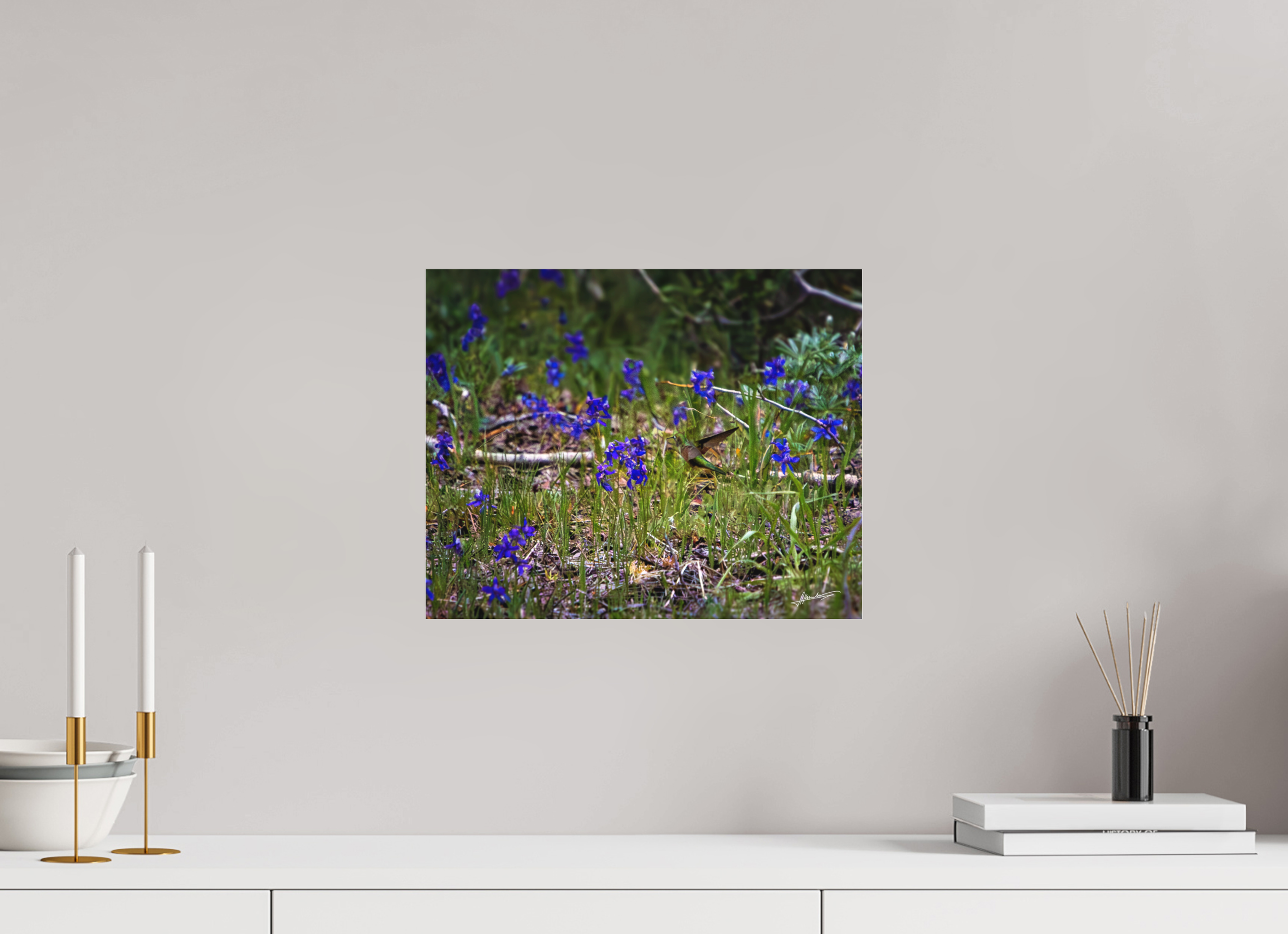 15 x 12″, Fine Pigment Under Acrylic Feeding Hummingbird