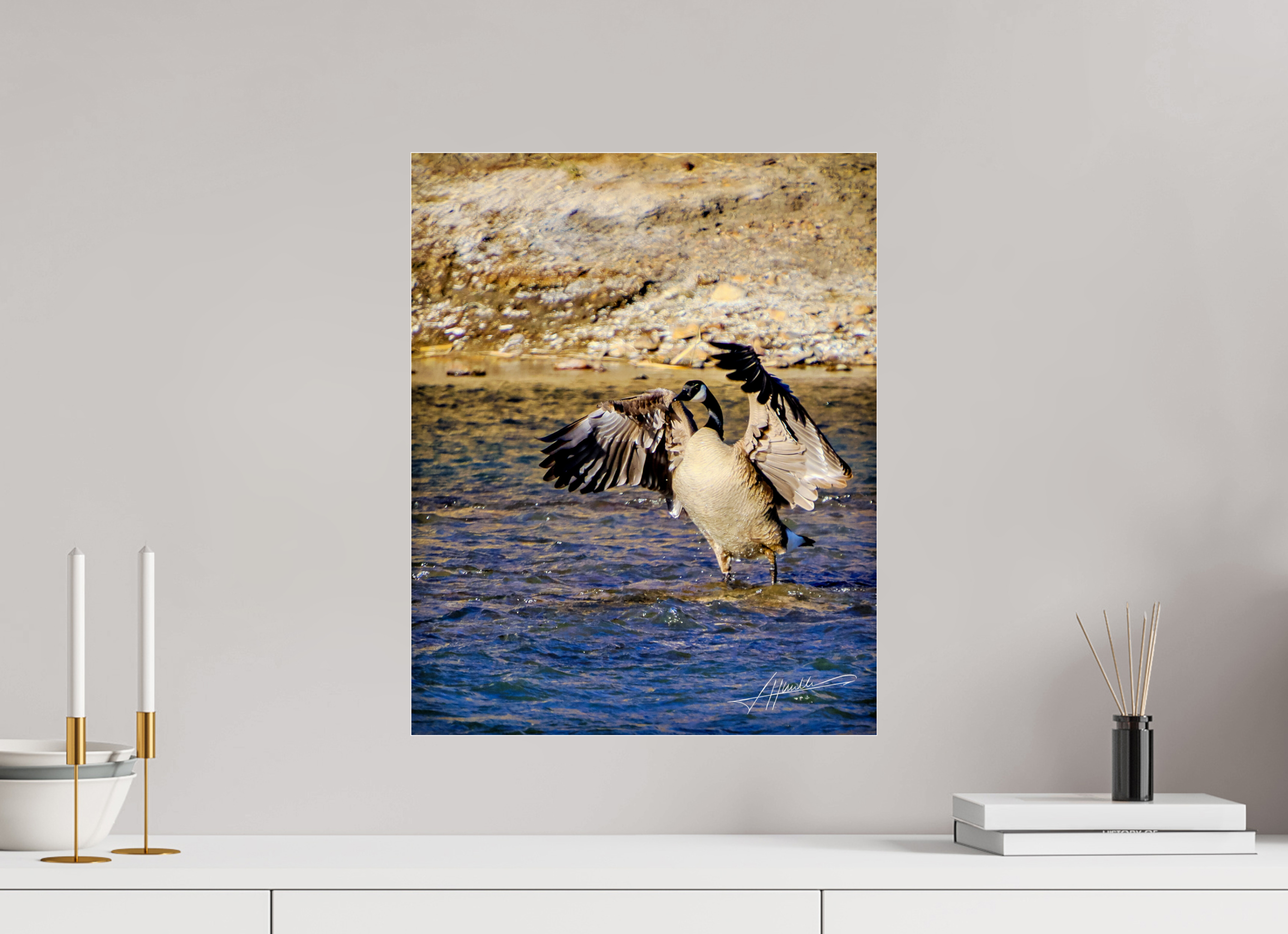 16 x 20″, Photo Print Under Acrylic Glass The Bathing Goose