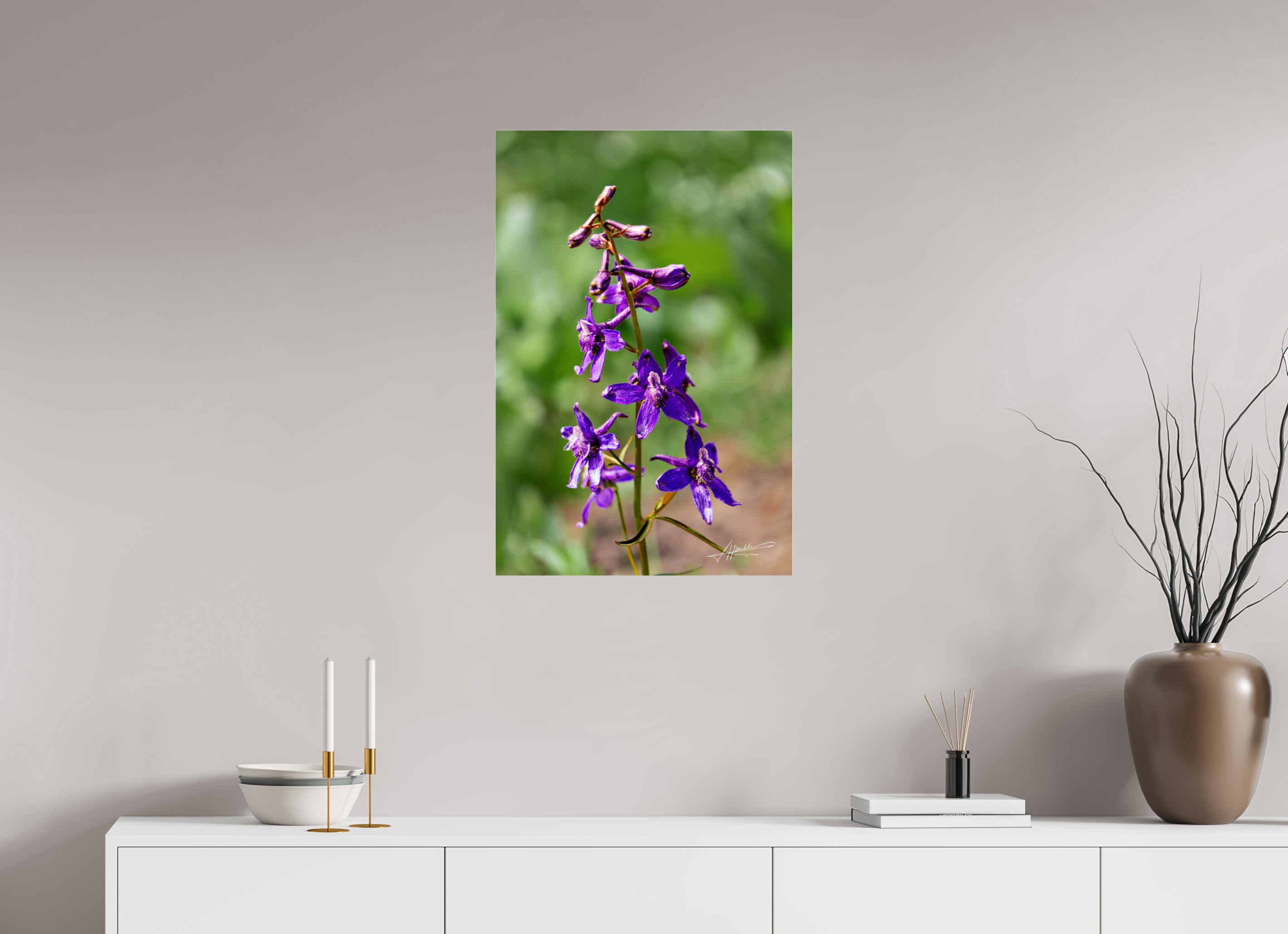 20 x 30″, Photo Print Under Acrylic Glass Spring In Bloom