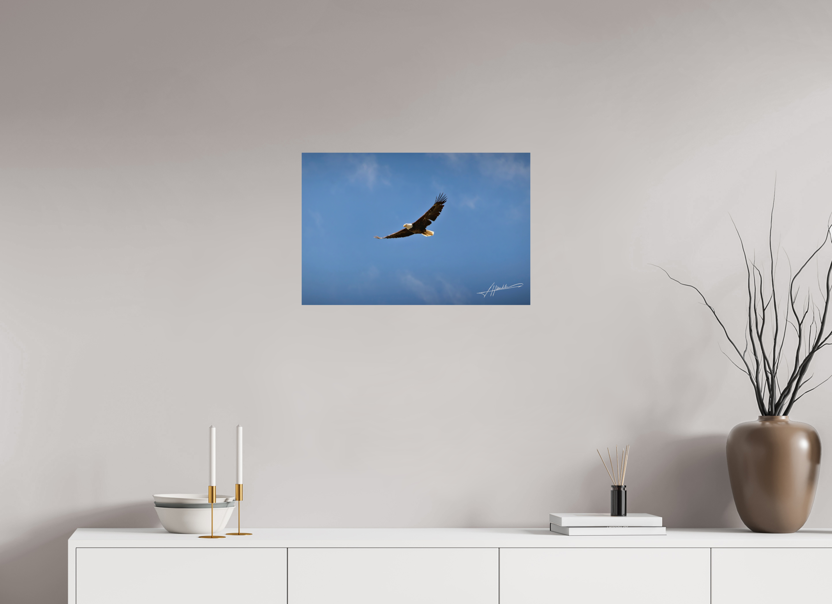 24 x 16″, Photo Print On Fuji Crystal DP II Soaring Free