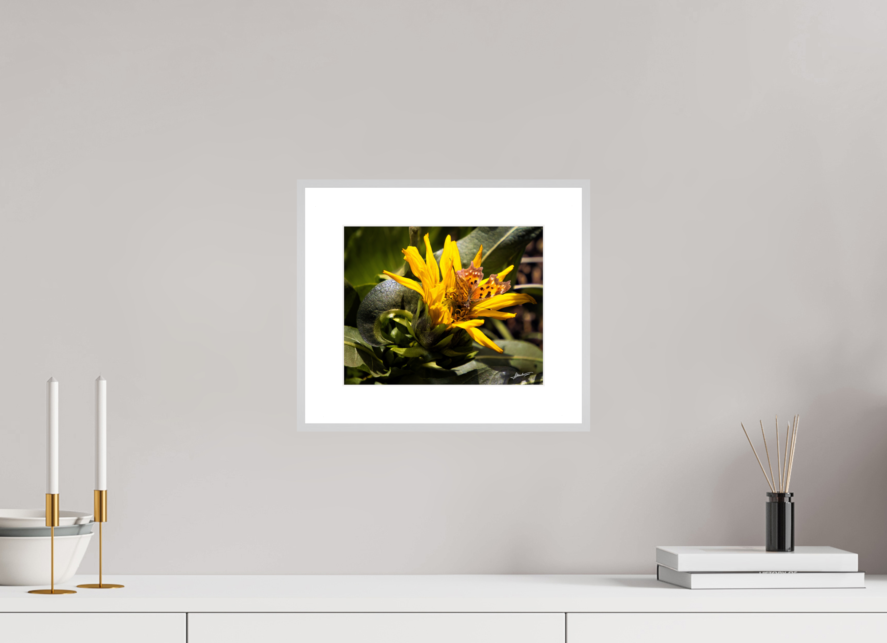 10 x 8″, Changeable Magnetic Frame Busy Butterfly