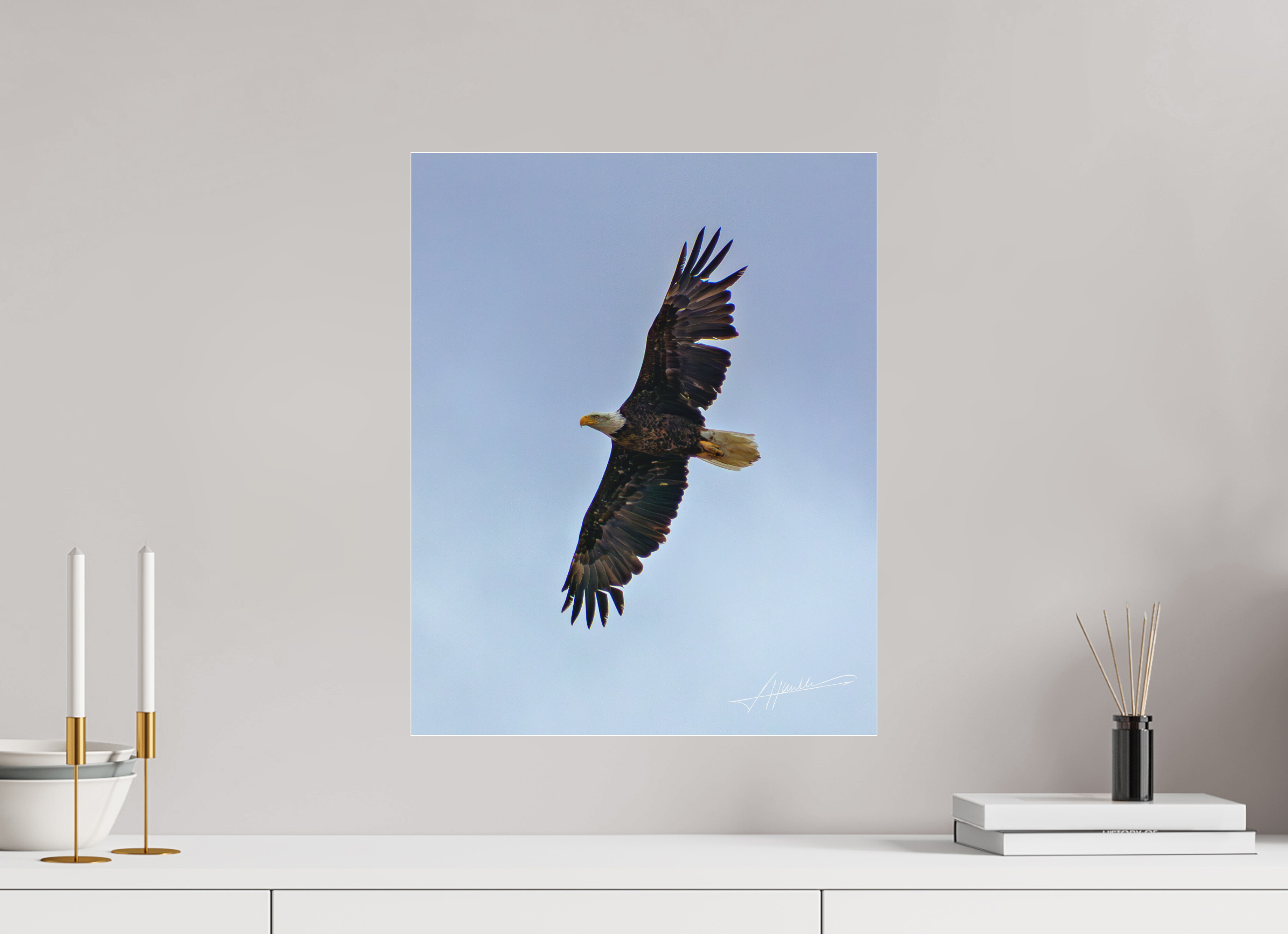 16 x 20″, Fine Pigment Under Acrylic Wings Spread