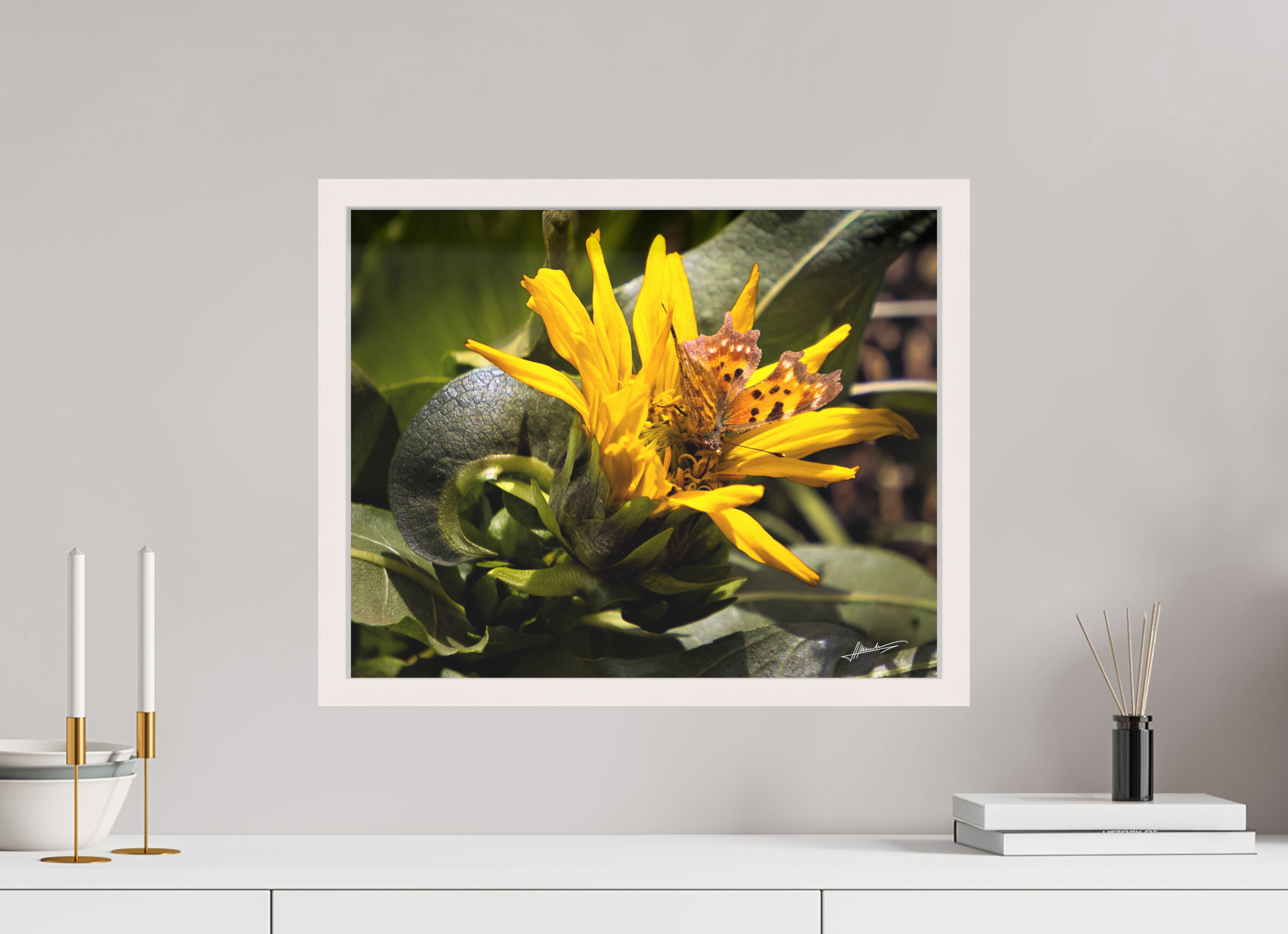 20 x 16″, Shadow Box Frame Busy Butterfly