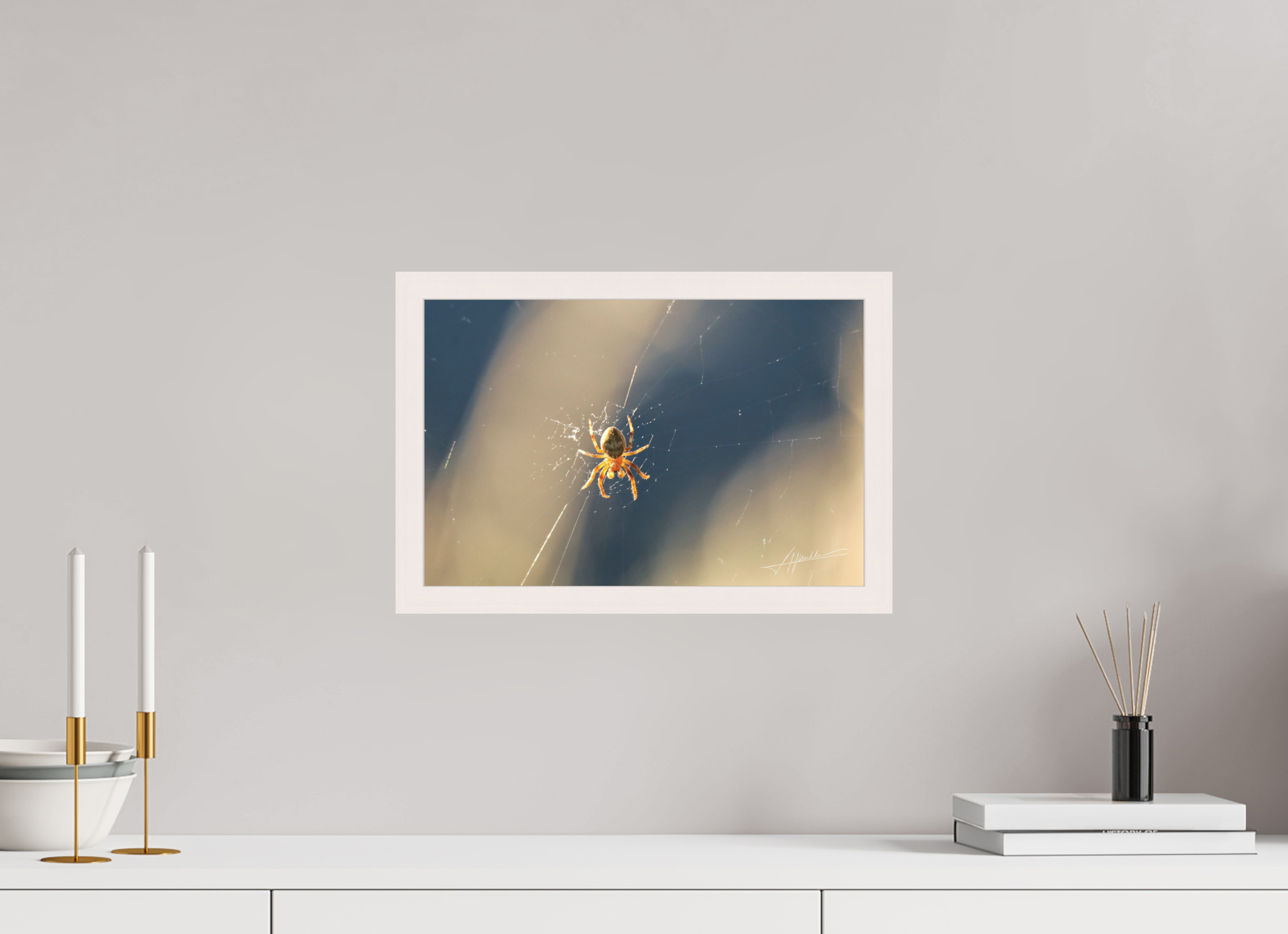 15 x 10″, Shadow Box Frame Tattered Web