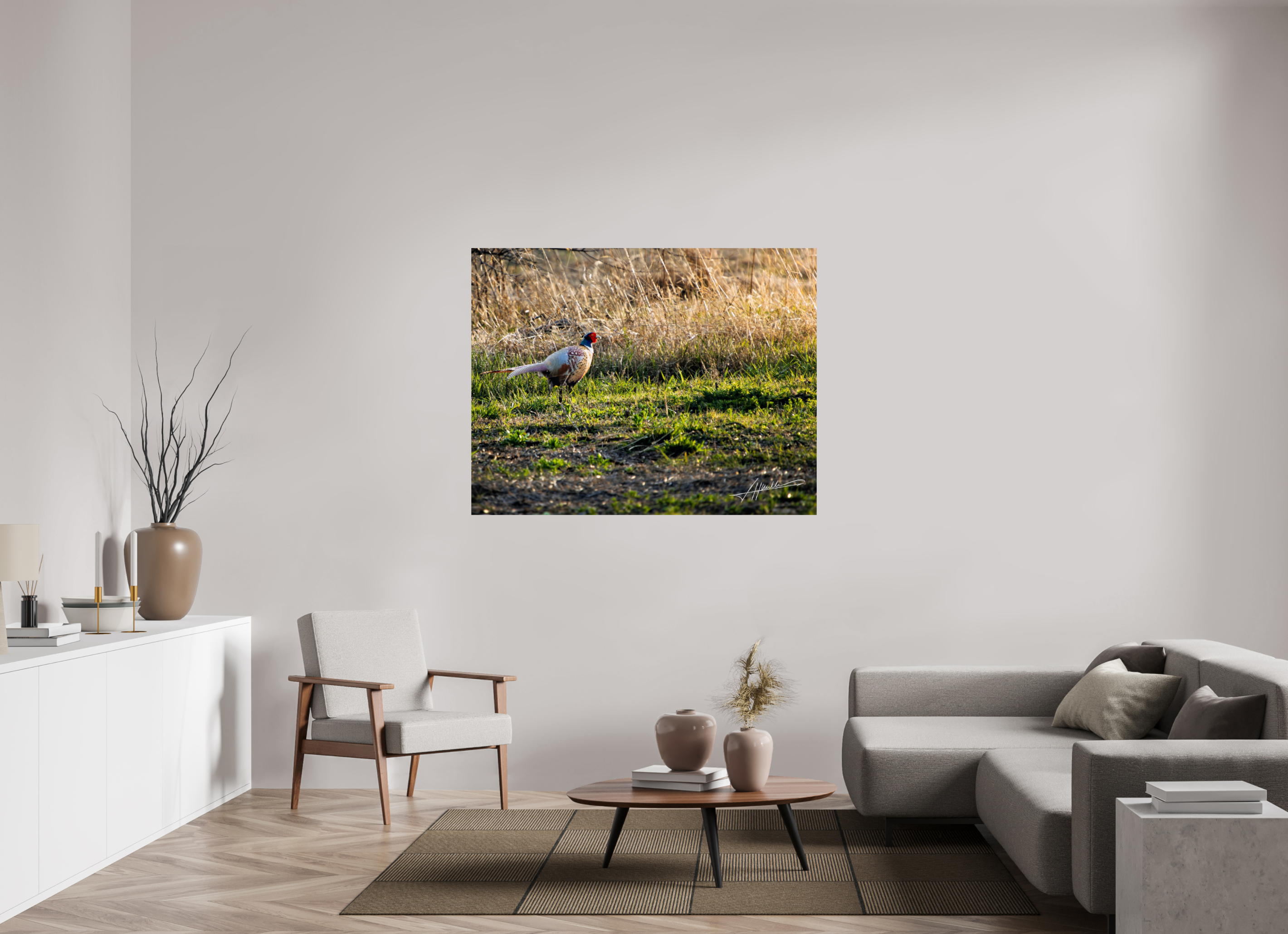 55.6 x 43″, Metallic Photo Print On Fuji Crystal Pearl Evening Pheasant