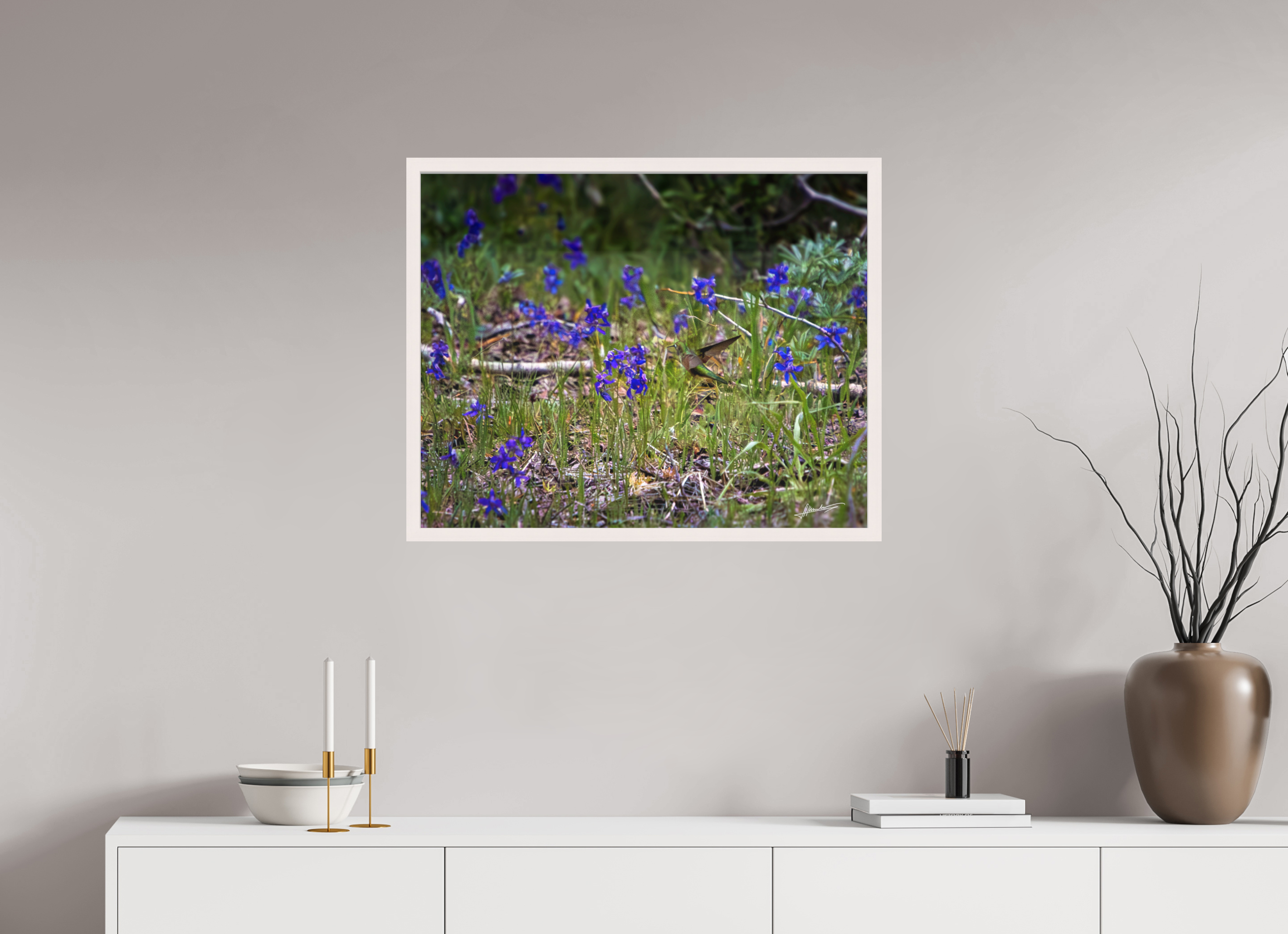 30 x 24″, Shadow Box Frame Feeding Hummingbird
