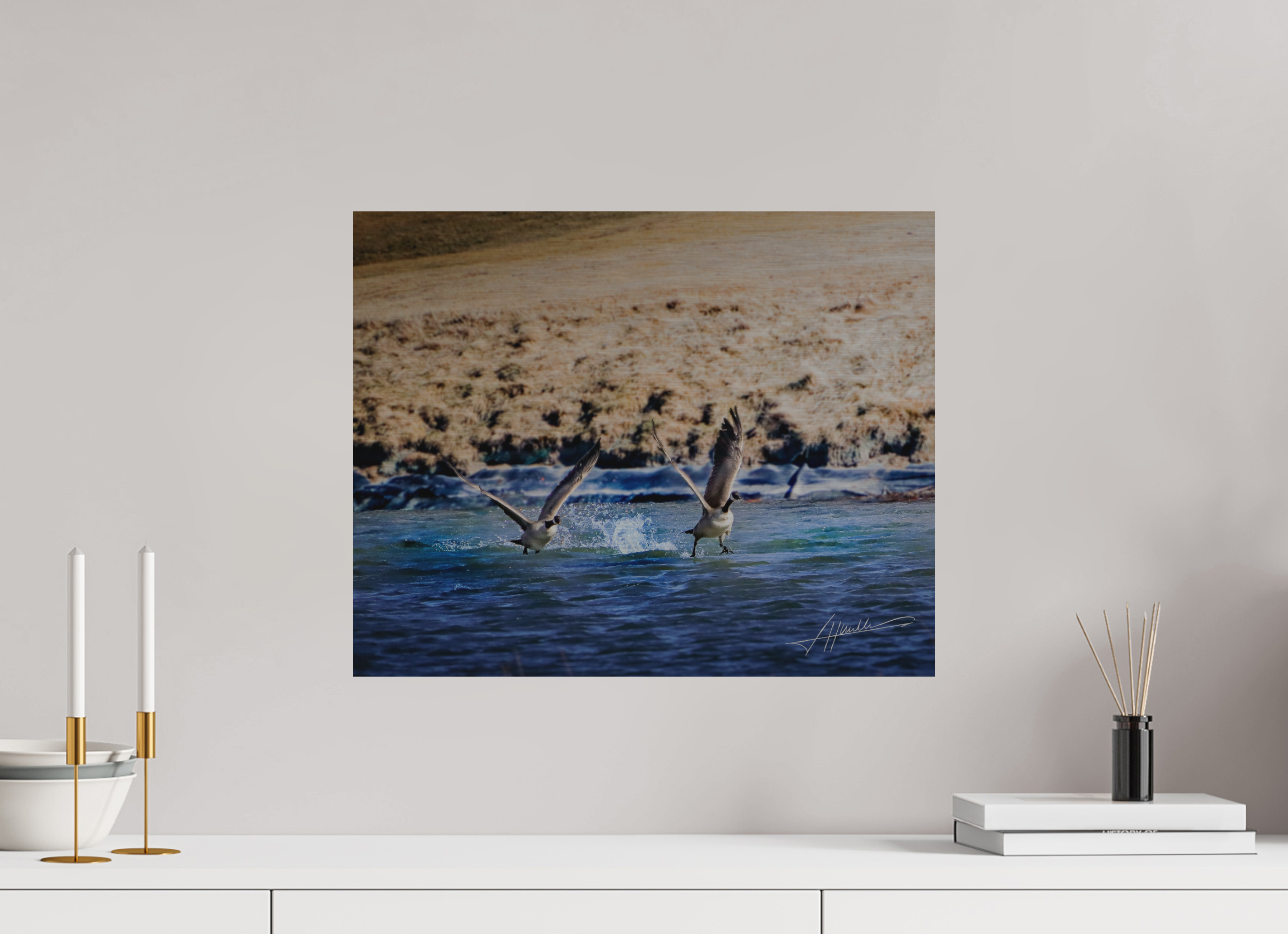 20 x 16″, Direct Brushed Aluminum Geese Taking Flight