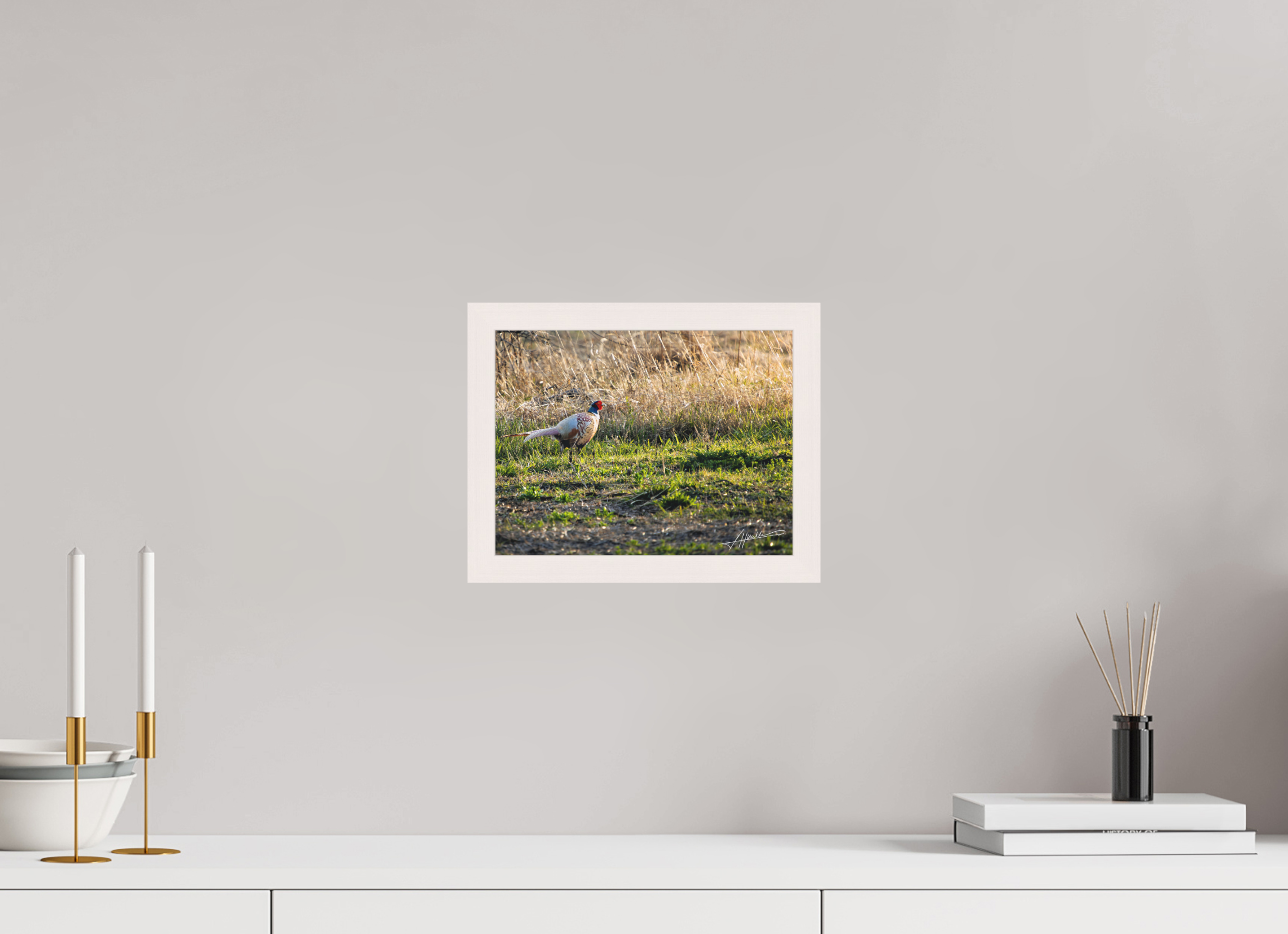 10.4 x 8″, Shadow Box Frame Evening Pheasant