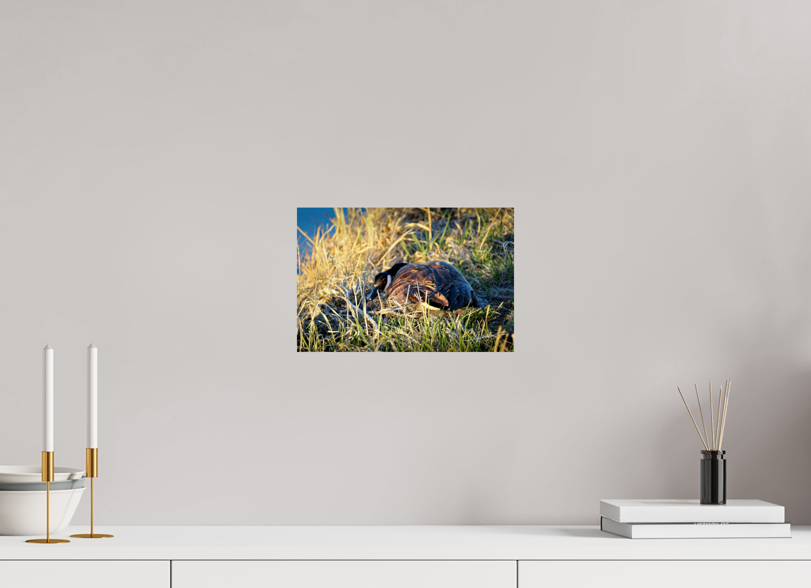 12 x 8″, Fine Art Print New Nester