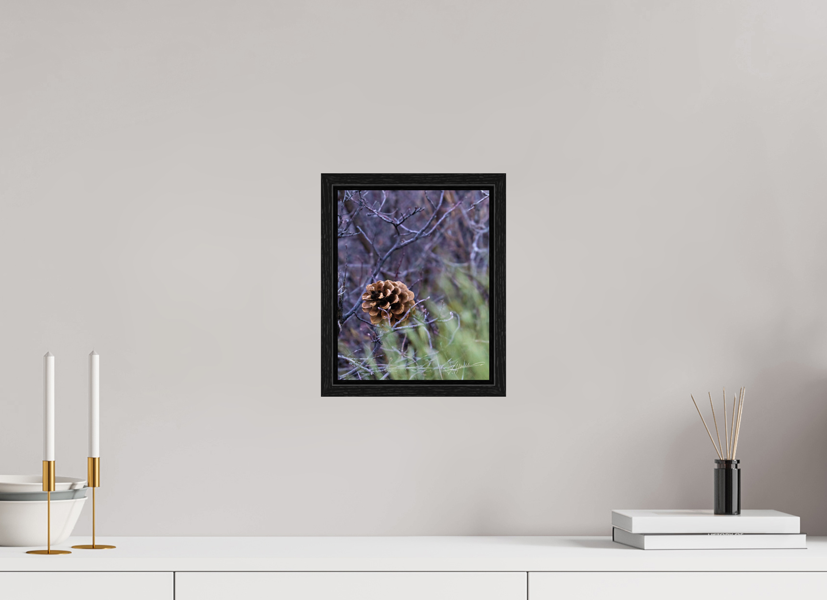 8 x 10″, Floater Frame Mountain Pinecone