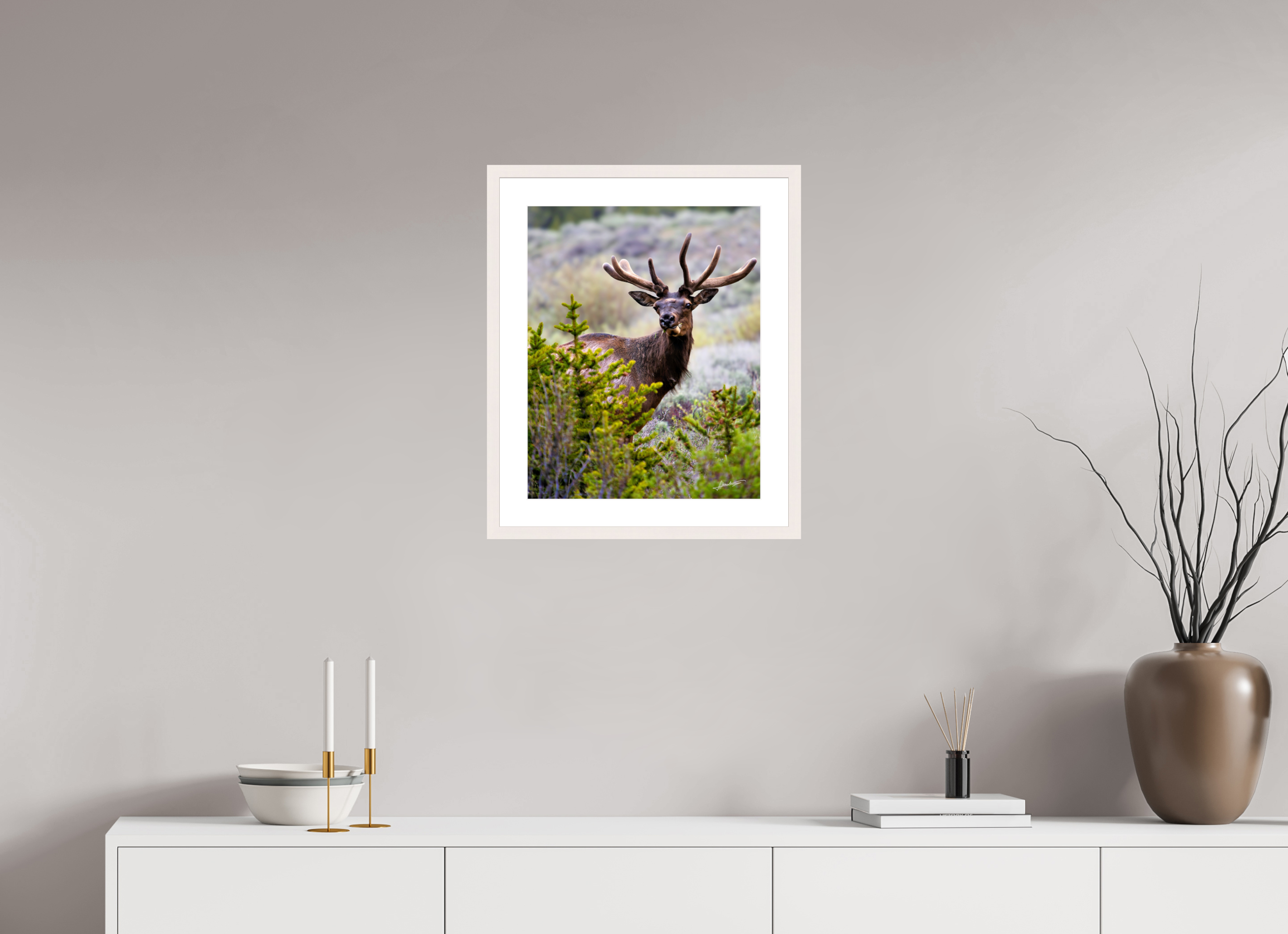 16 x 20″, Solid Wood Frame with Passe-partout Velvet Bull