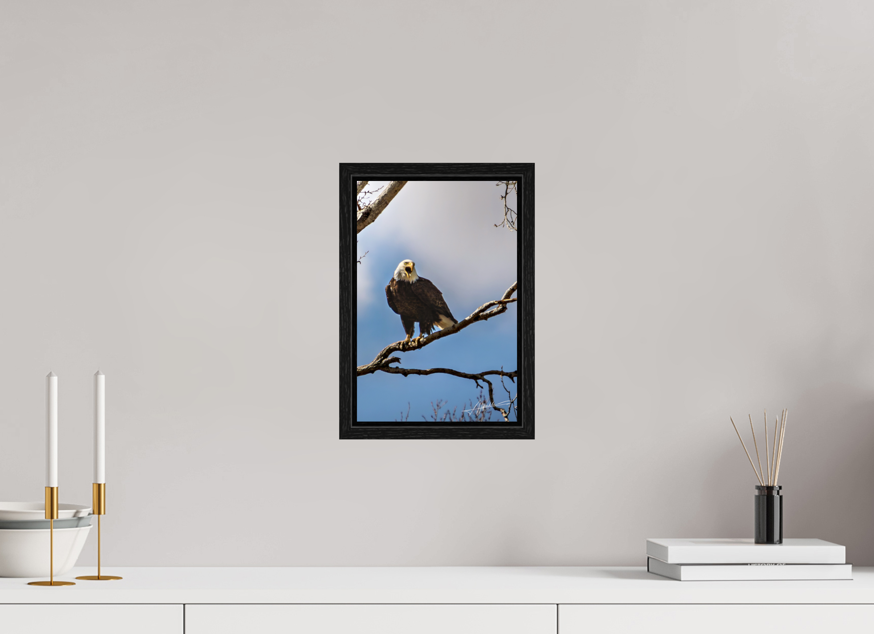 8 x 12″, Floater Frame The Eagle's Call