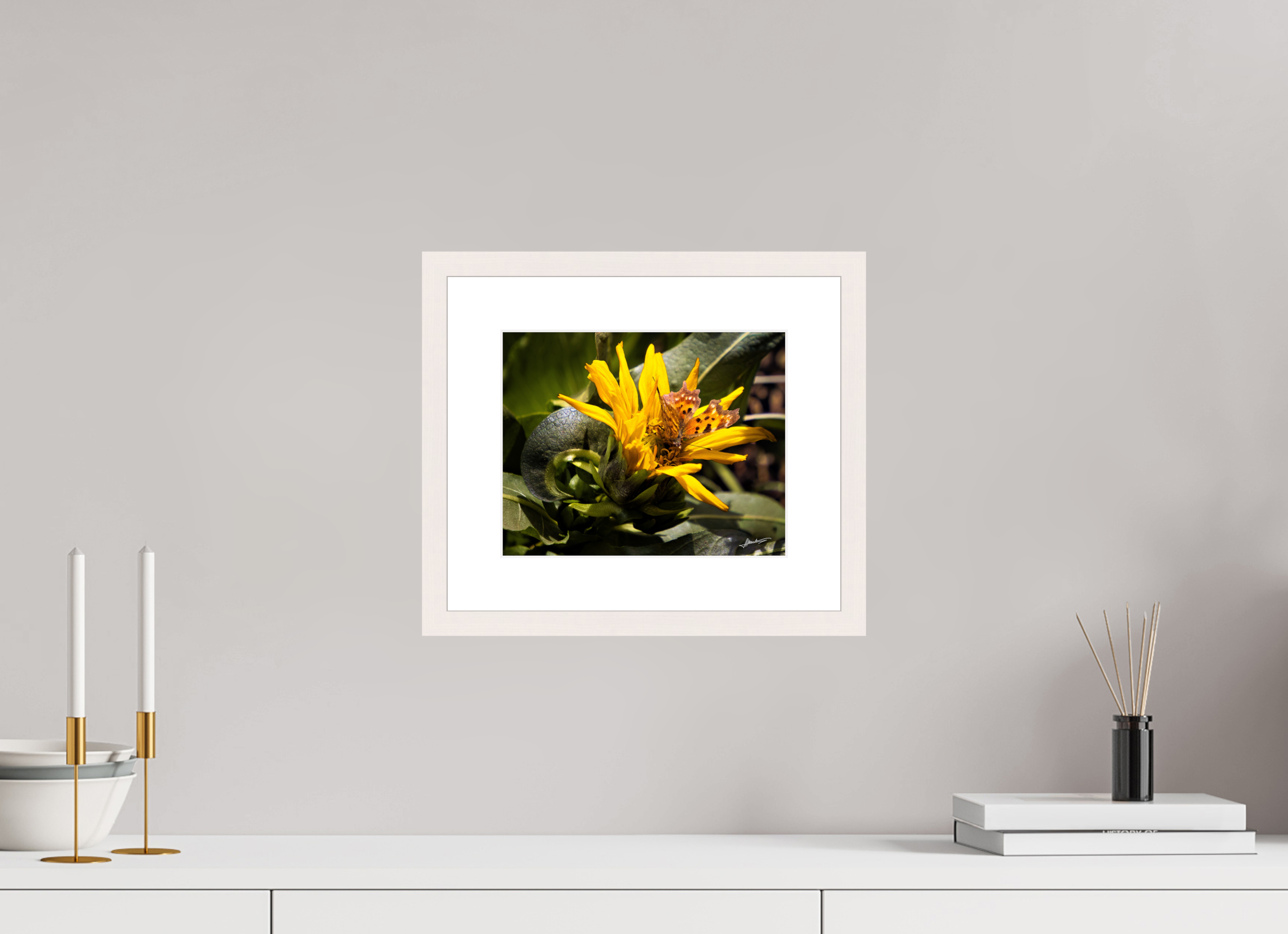 10 x 8″, Solid Wood Frame with Passe-partout Busy Butterfly