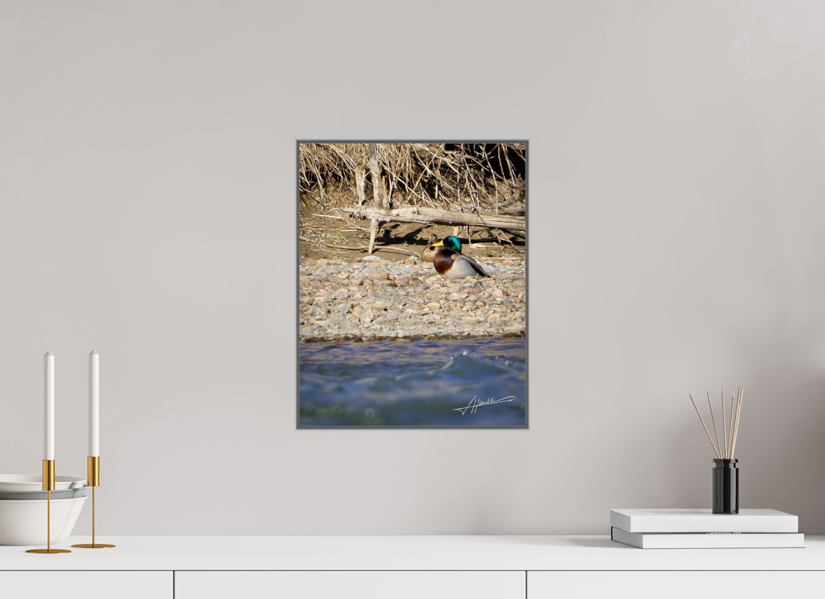 12 x 15″, Aluminum ArtBox Sunbathing Mallard
