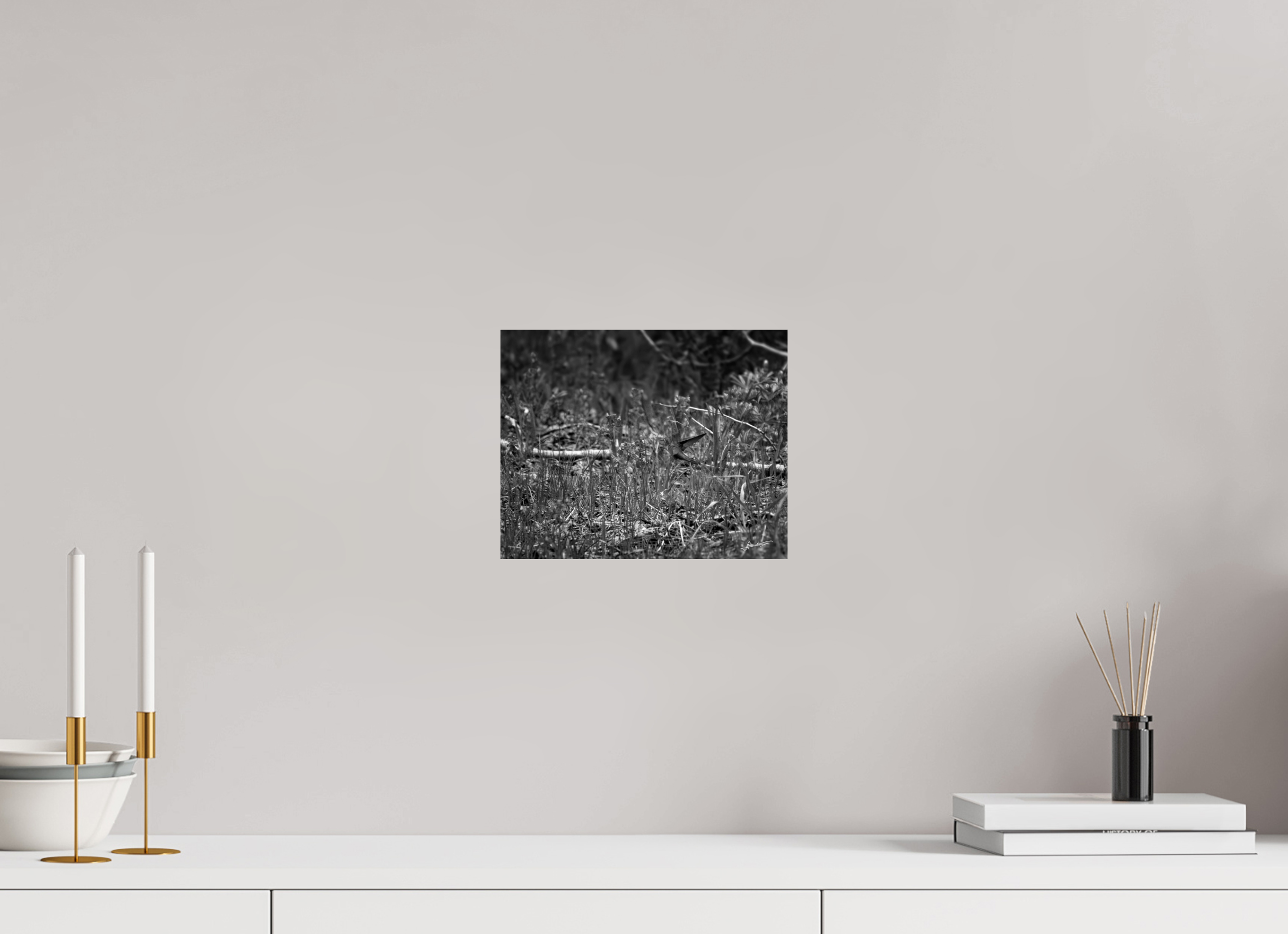 10 x 8″, Photo Print On Ilford Baryta Paper Feeding Hummingbird
