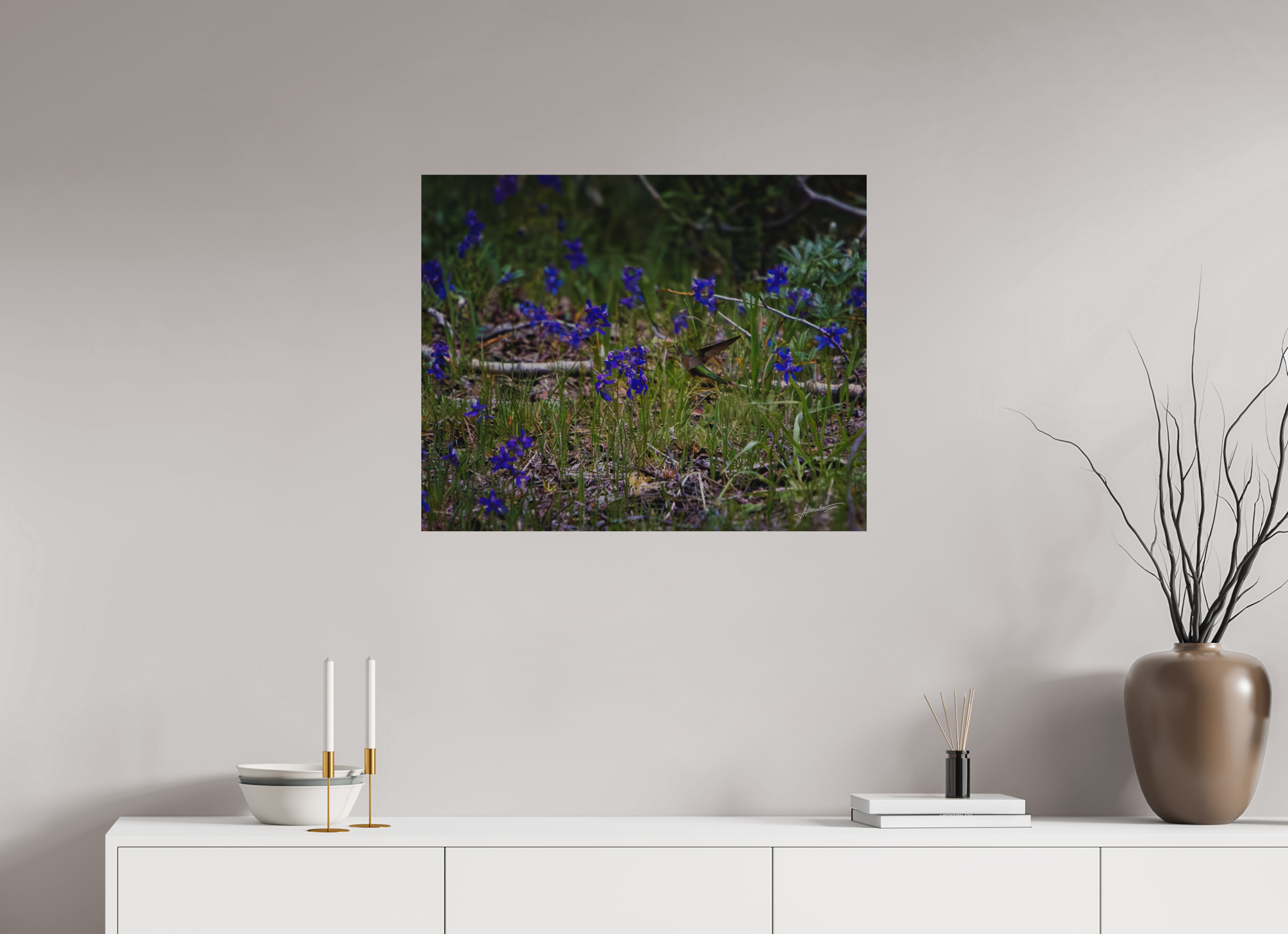 30 x 24″, Direct Brushed Aluminum Feeding Hummingbird