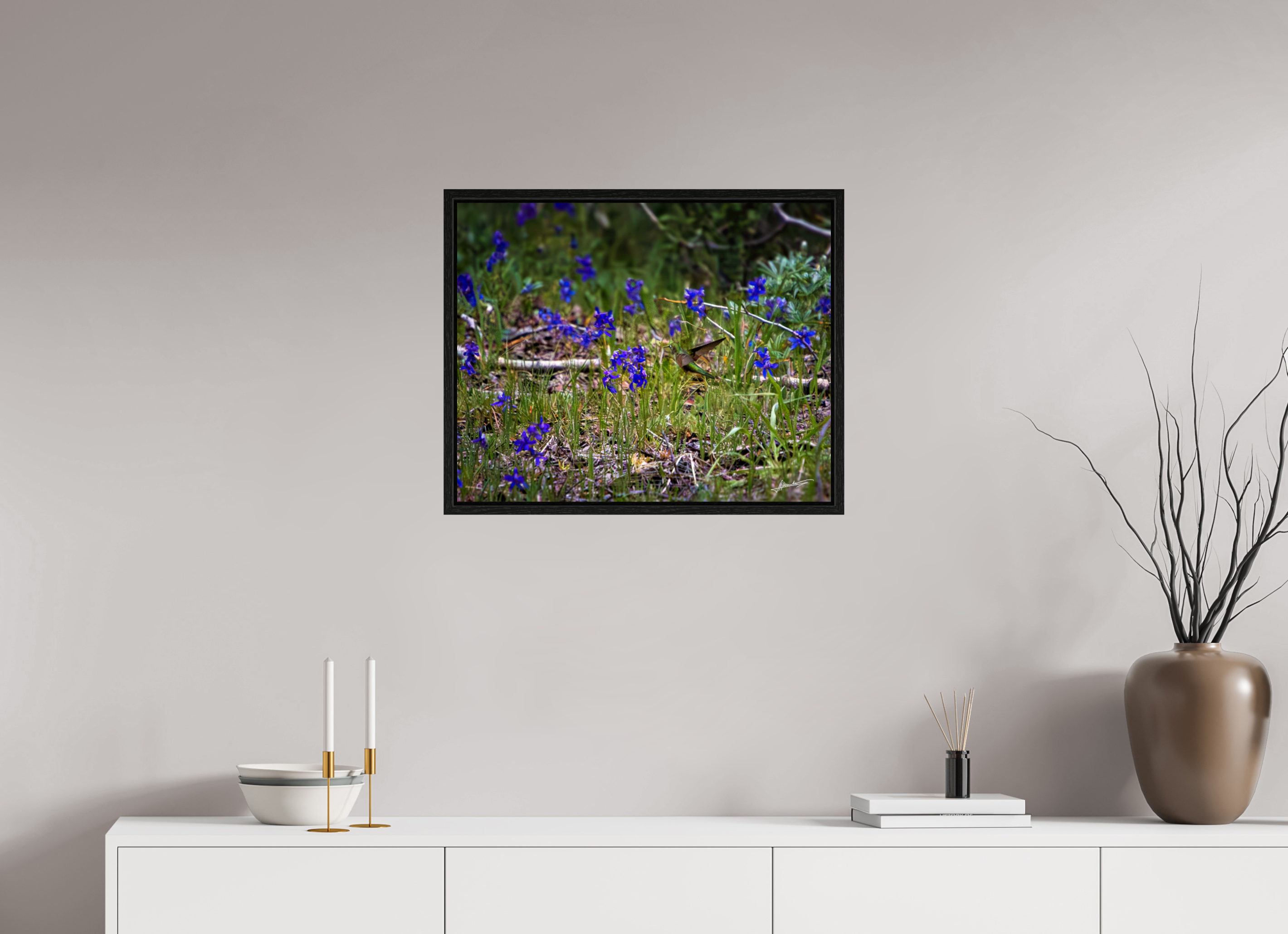 25 x 20″, Floater Frame Feeding Hummingbird