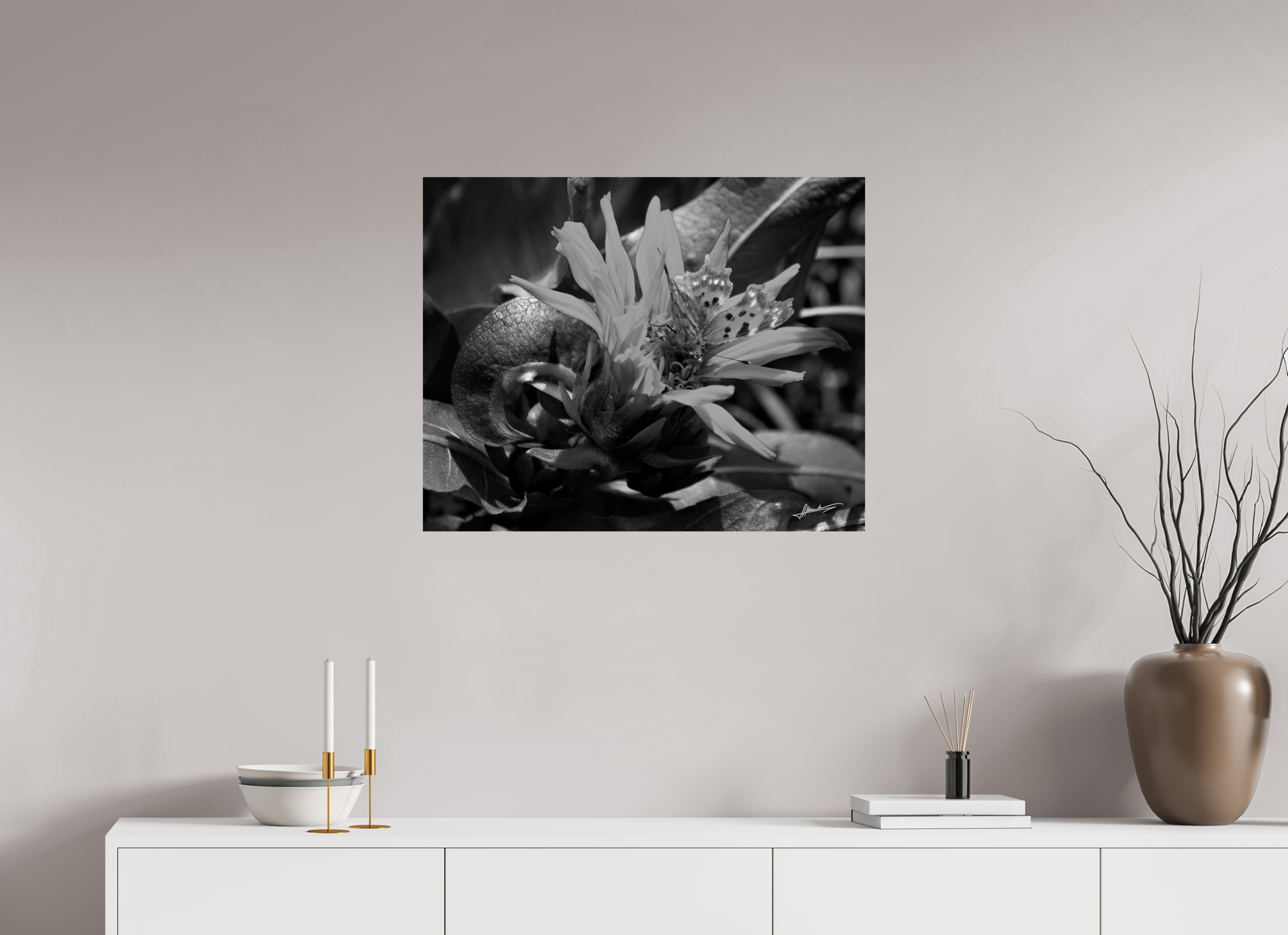30 x 24″, Photo Print On Ilford Baryta Paper Busy Butterfly