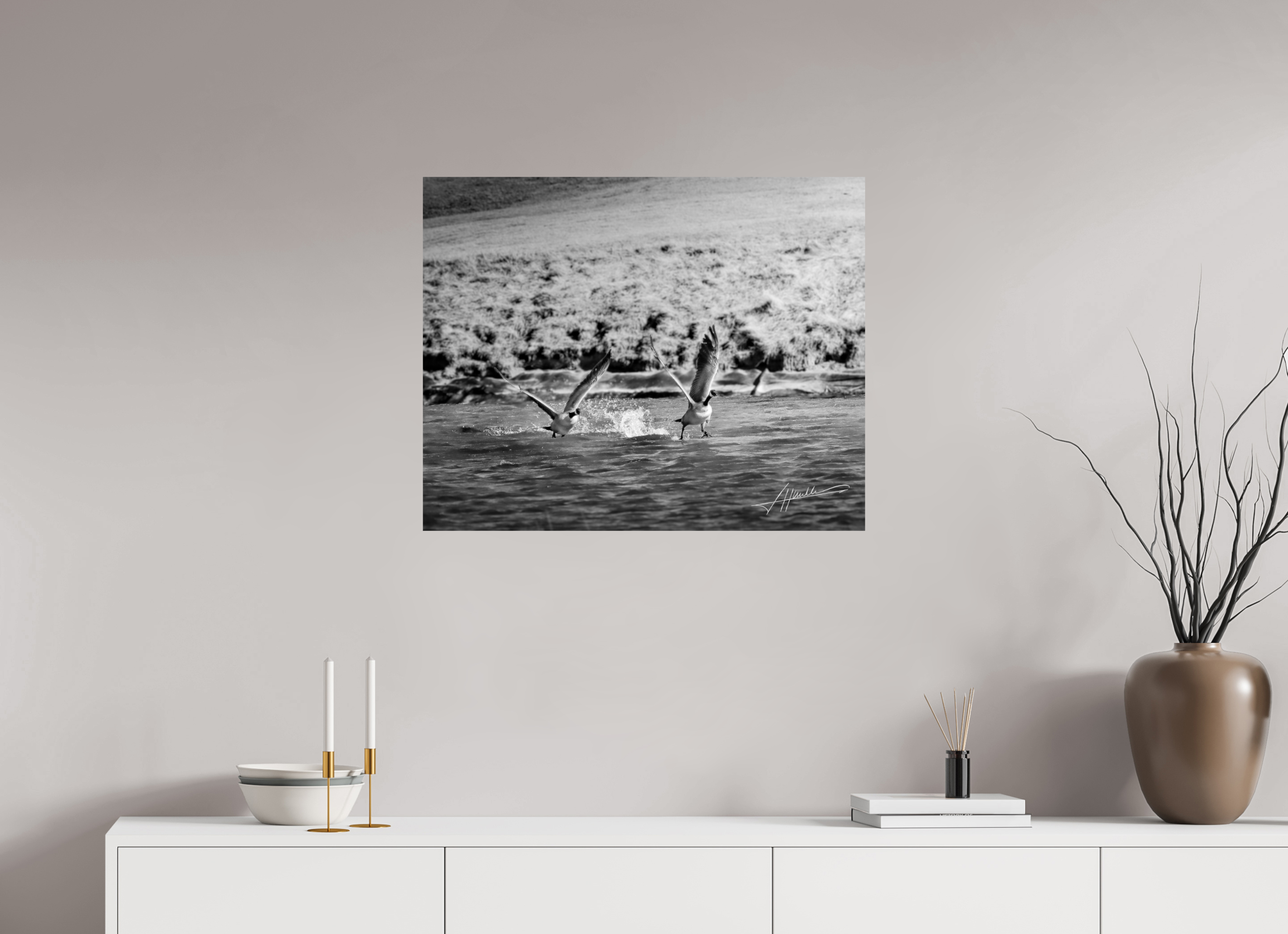 30 x 24″, Photo Print On Ilford Baryta Paper Geese Taking Flight
