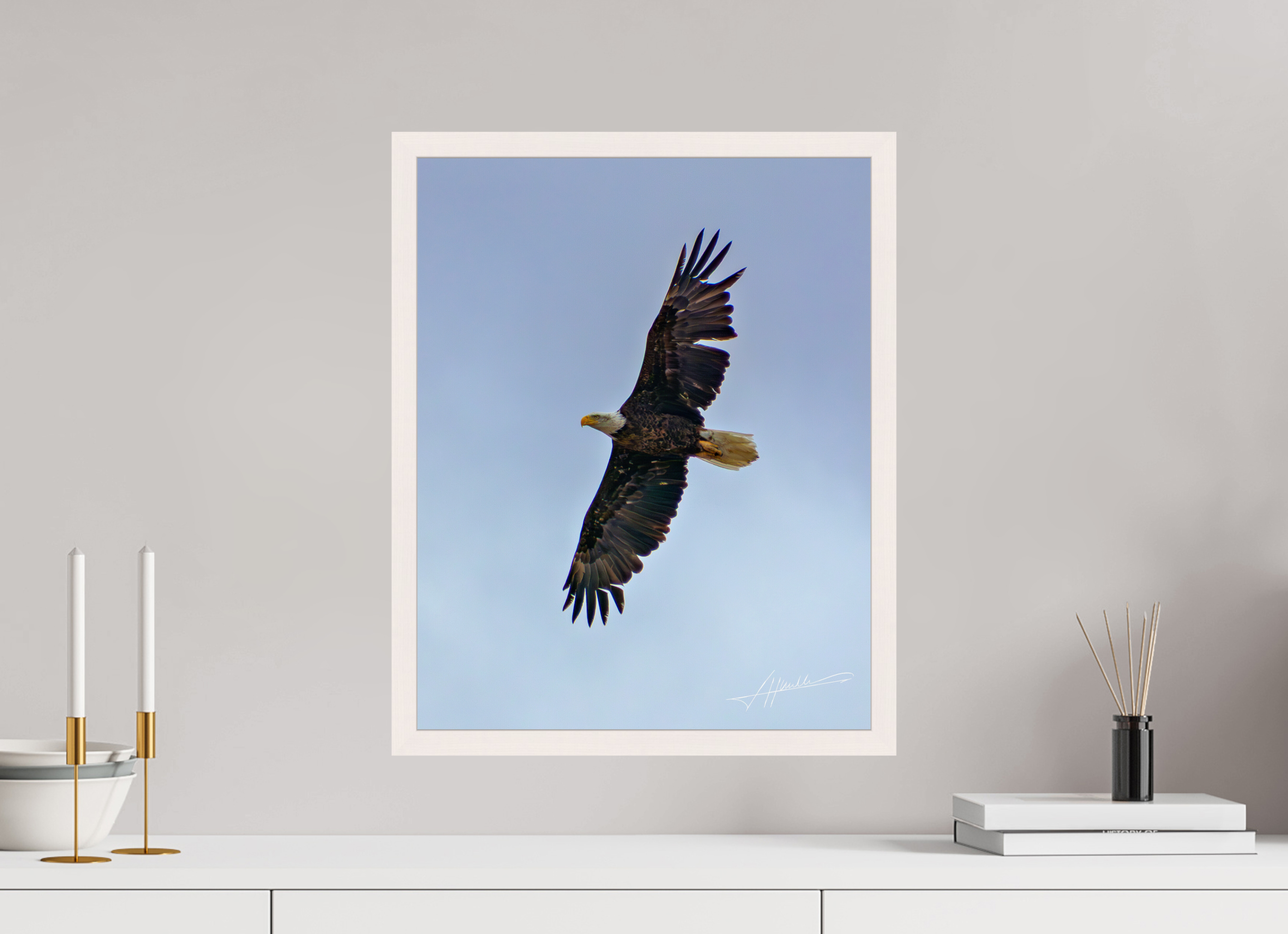 16 x 20″, Gallery Frame Wings Spread