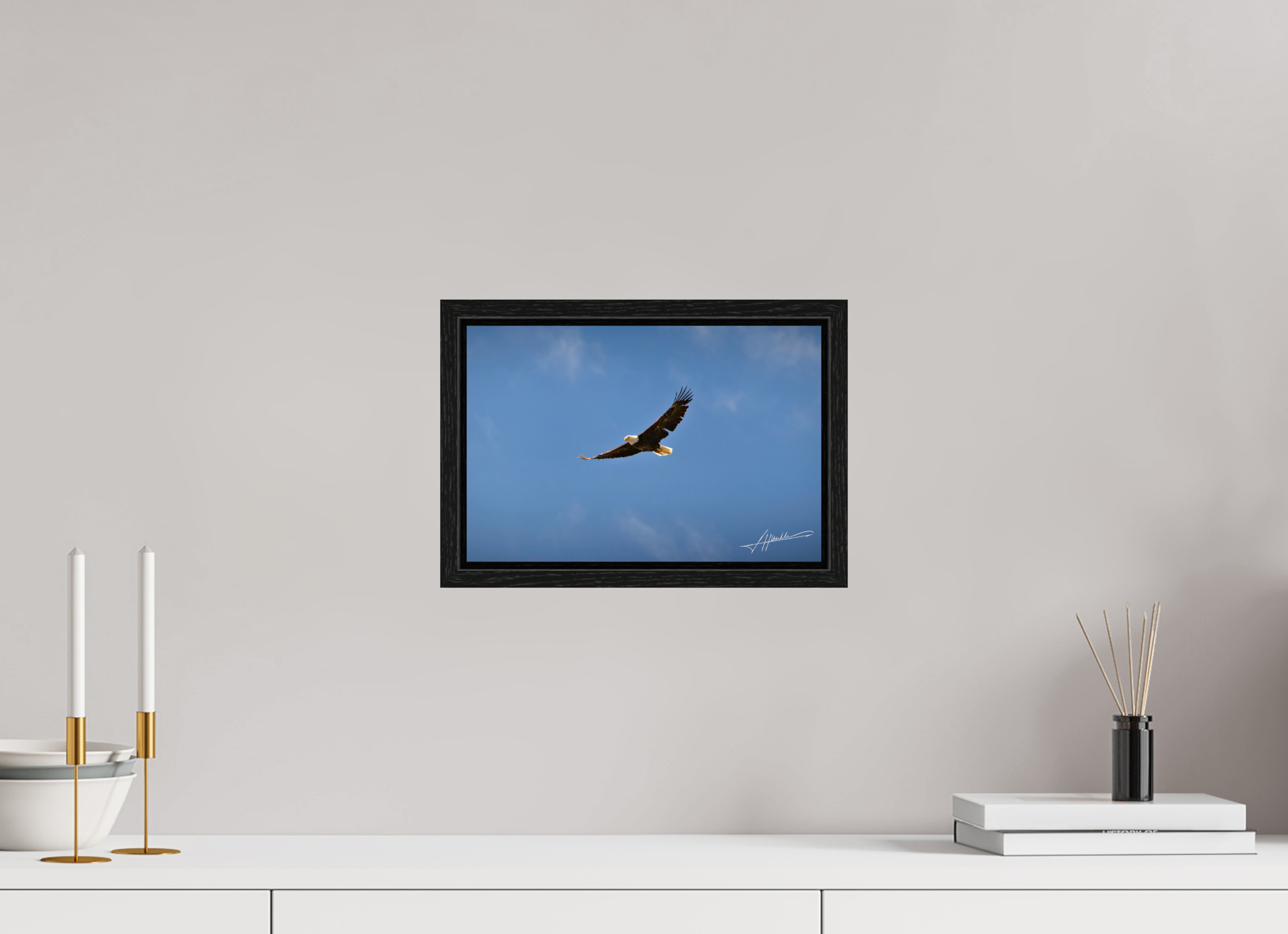 12 x 8″, Floater Frame Soaring Free