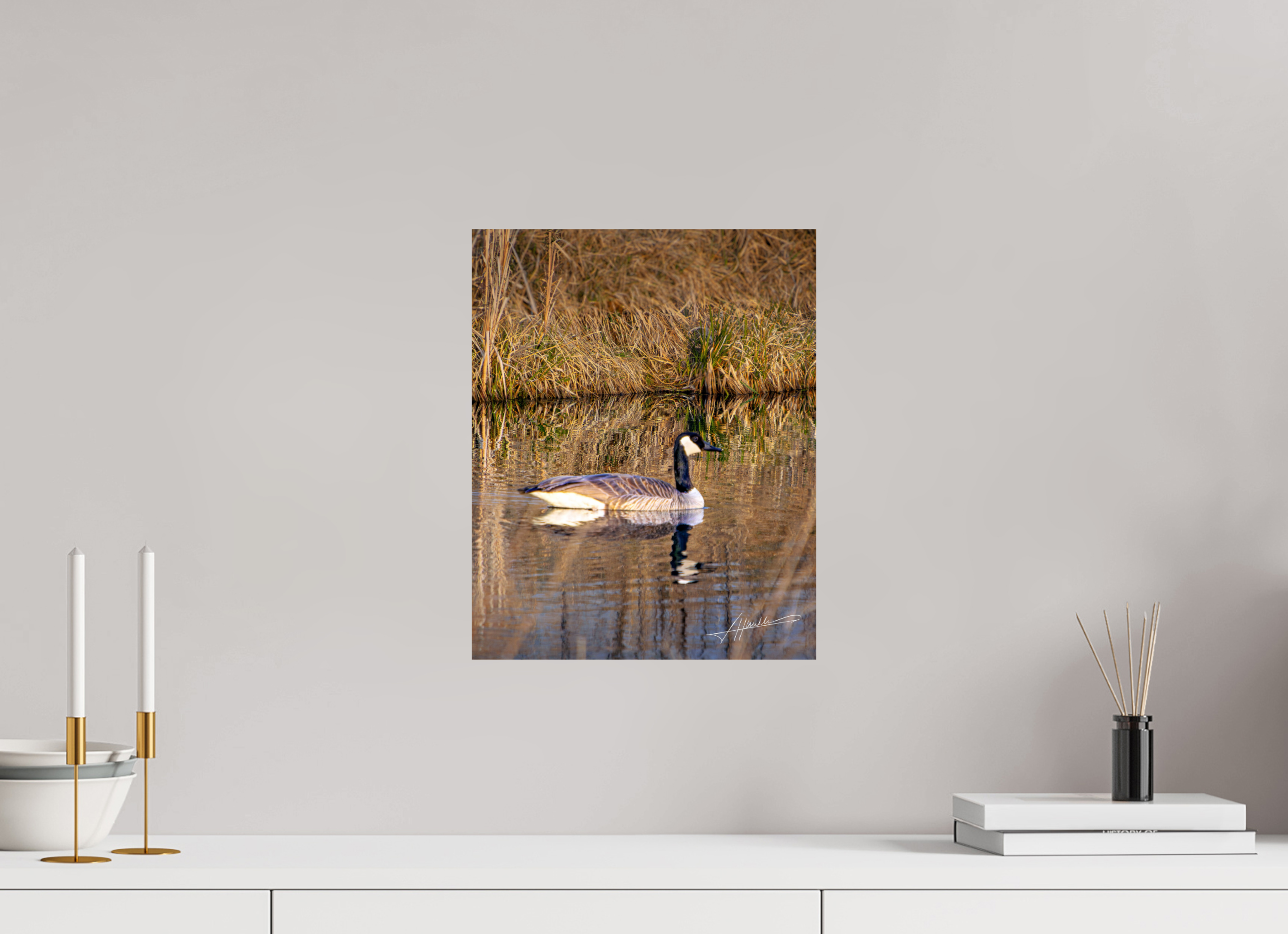 12 x 15″, Metallic Photo Print On Fuji Crystal Pearl A Swimming Reflection