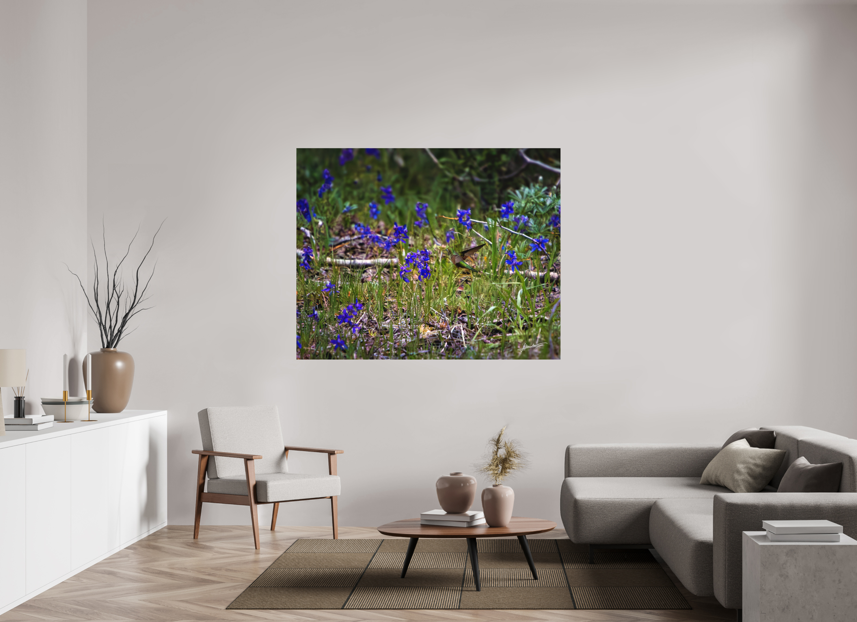 63.7 x 51″, Metal Dibond Feeding Hummingbird