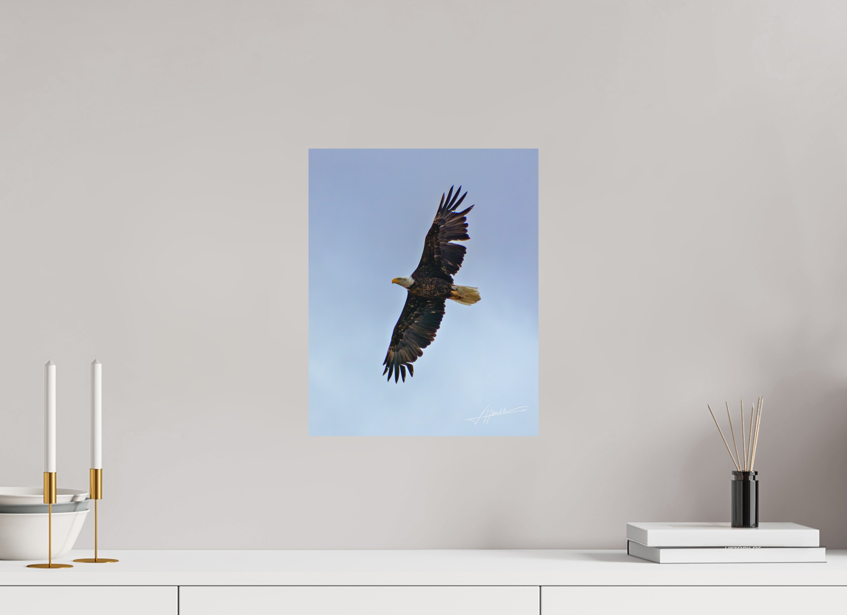12 x 15″, Metal Dibond Wings Spread