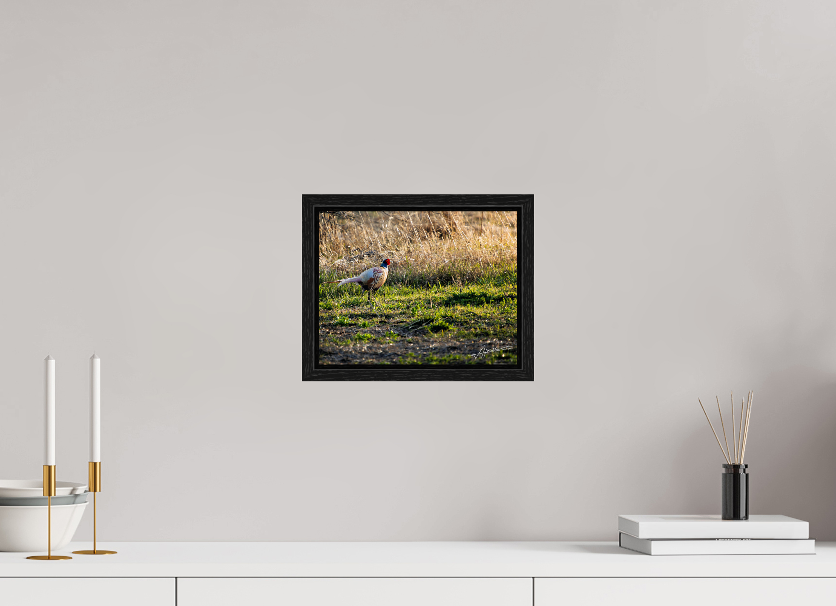 10.4 x 8″, Floater Frame Evening Pheasant