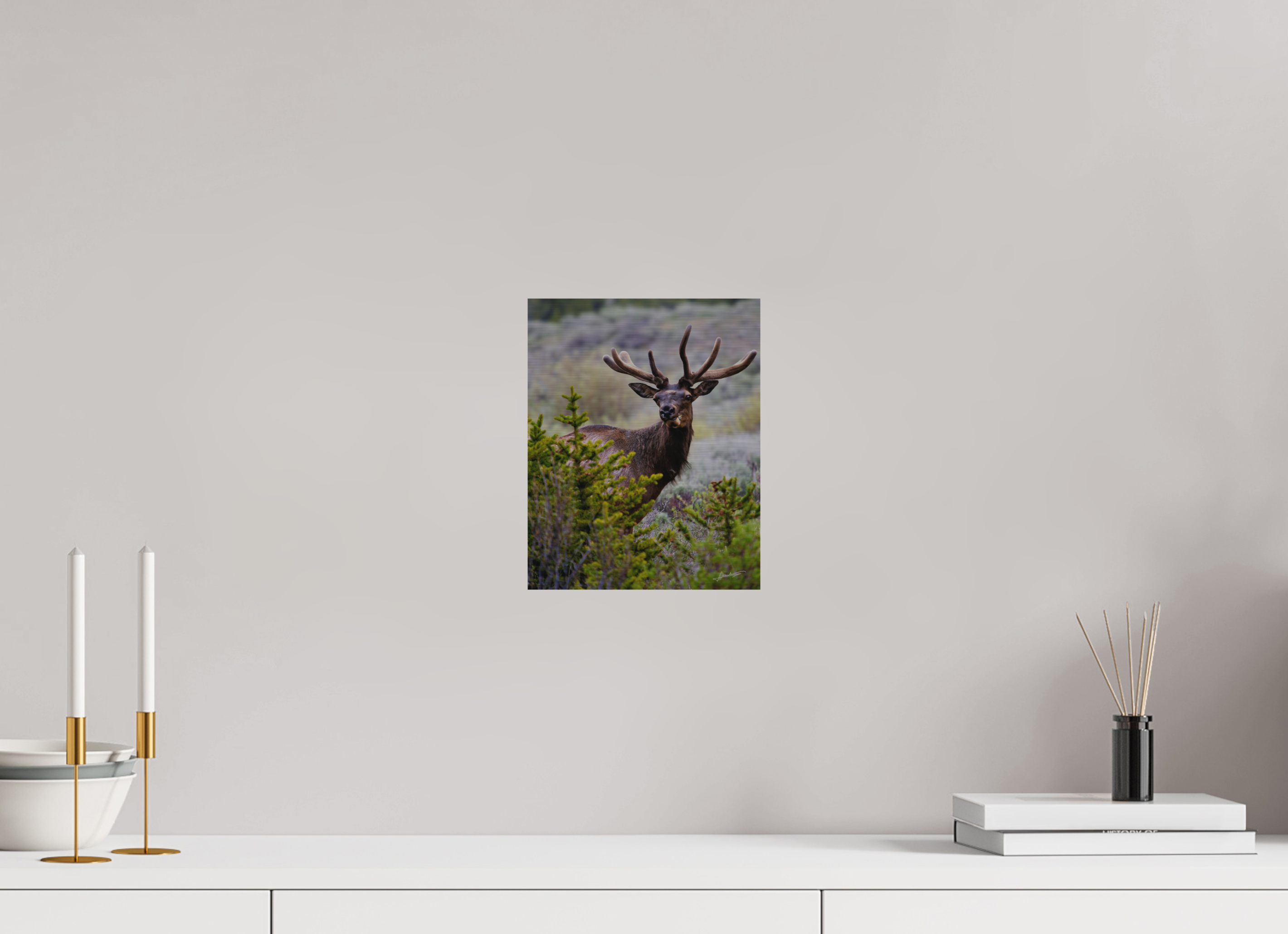 8 x 10″, Direct Brushed Aluminum Velvet Bull