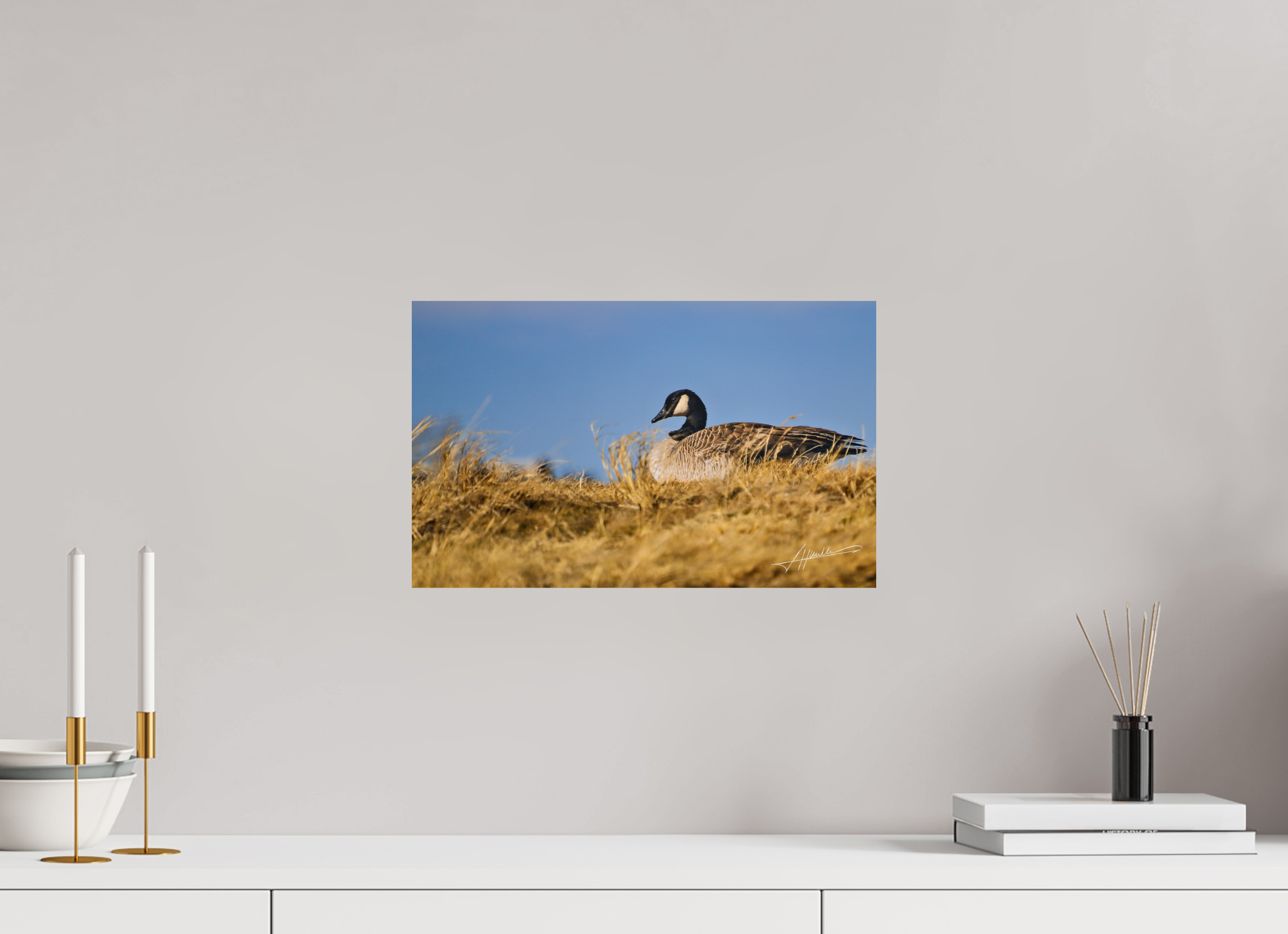 16.2 x 10″, Fine Art Print The Nesting Goose