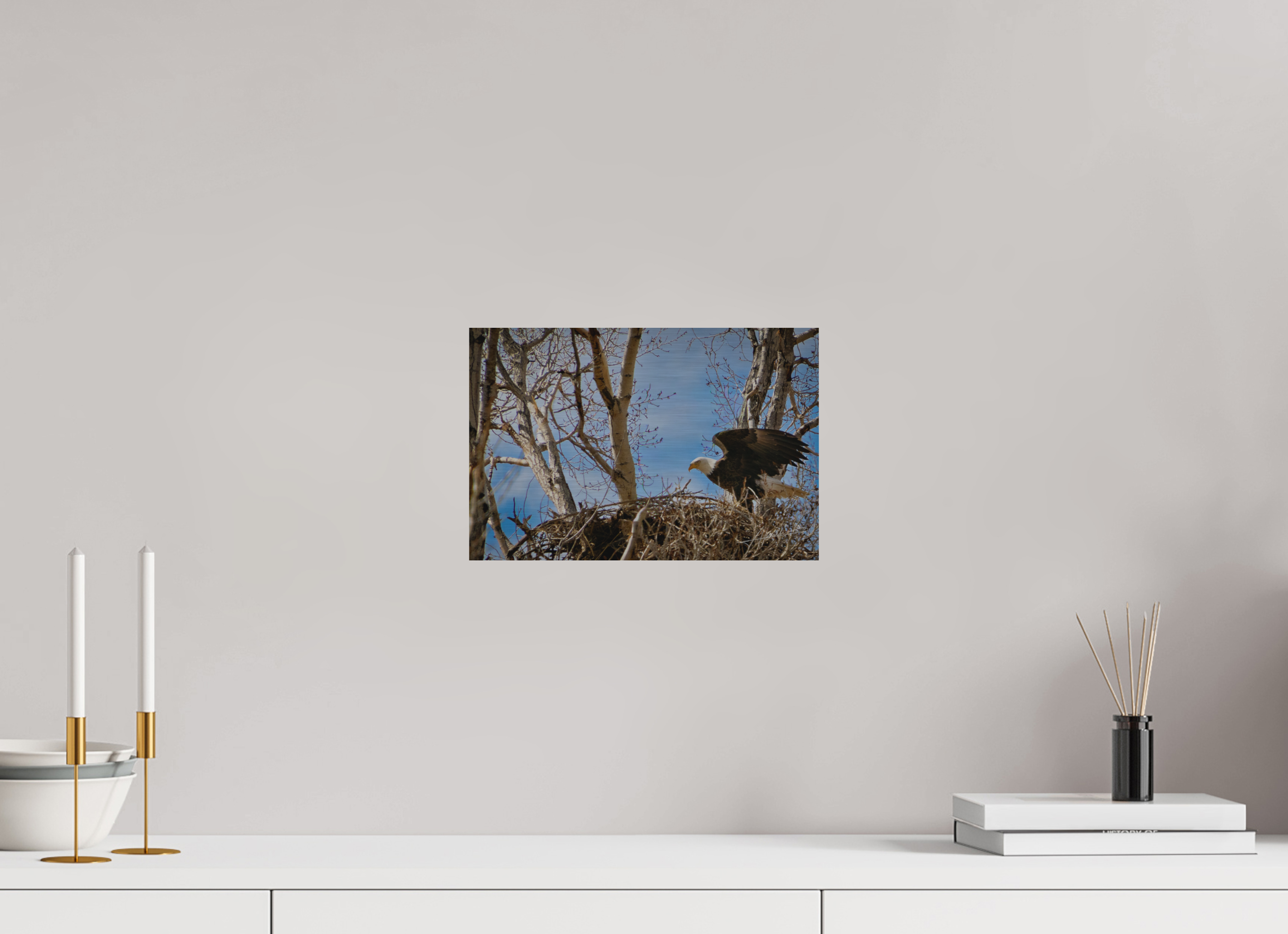 12 x 8″, Direct Brushed Aluminum The Eagles Nest