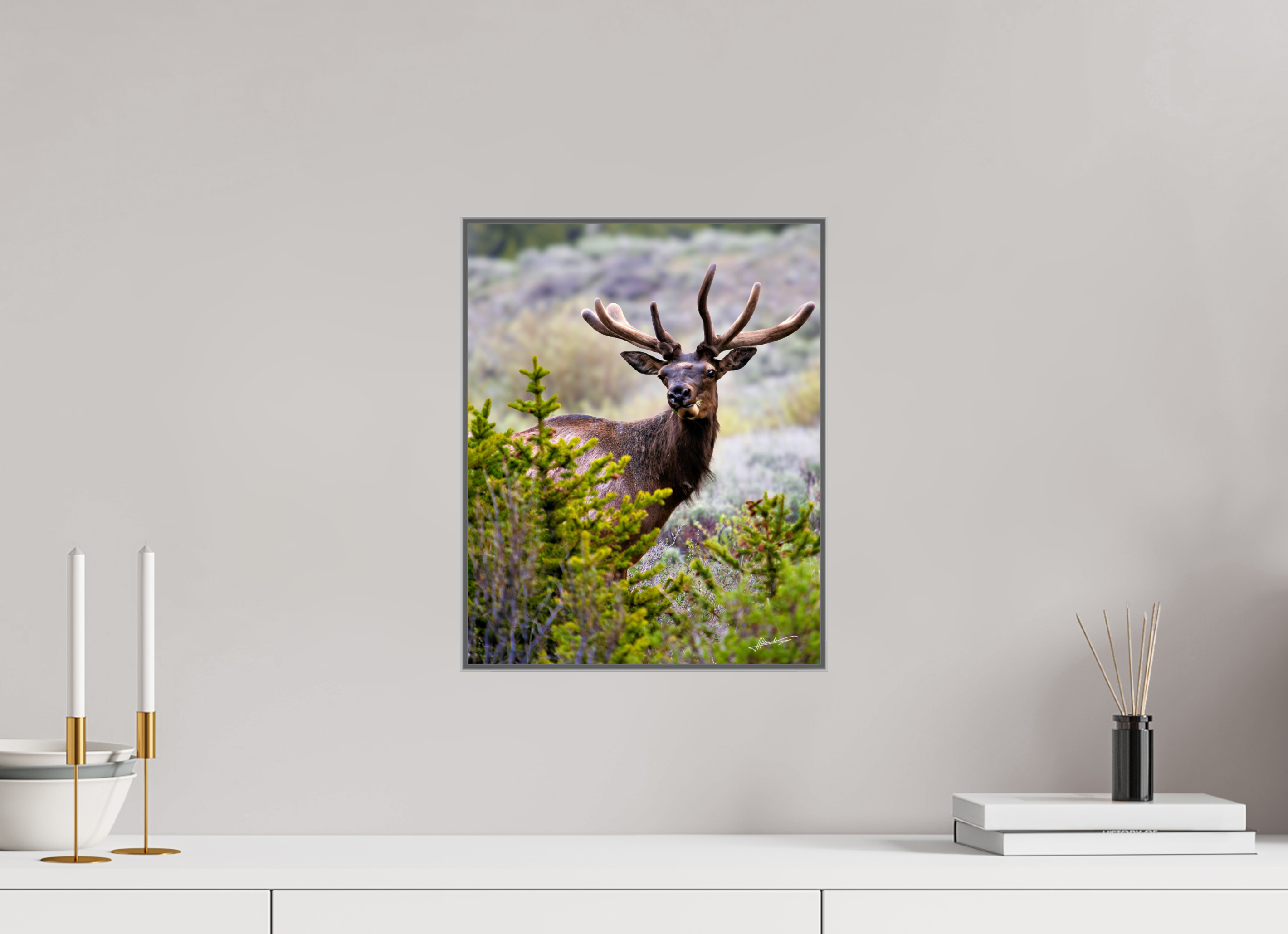 12 x 15″, Aluminum ArtBox Velvet Bull