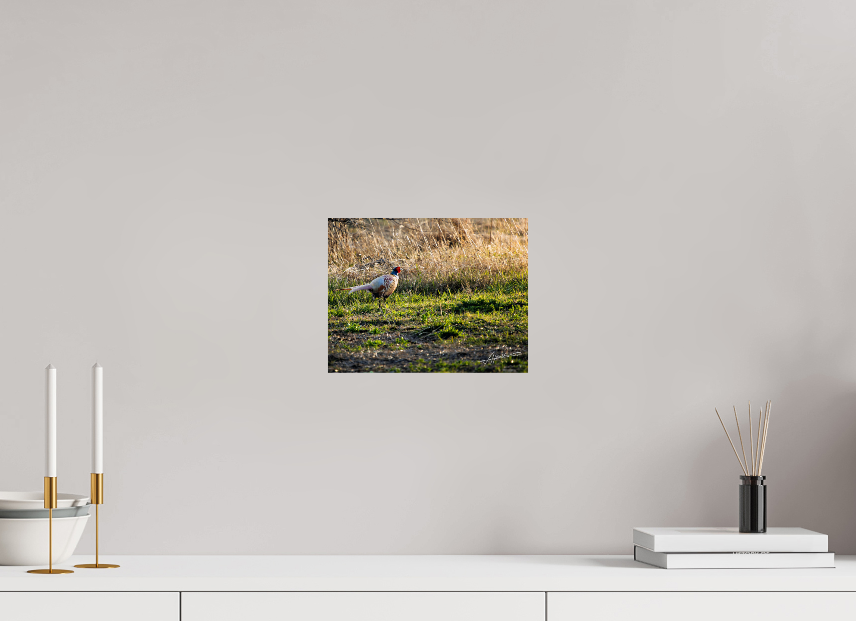 10.4 x 8″, Fine Art Dibond Evening Pheasant