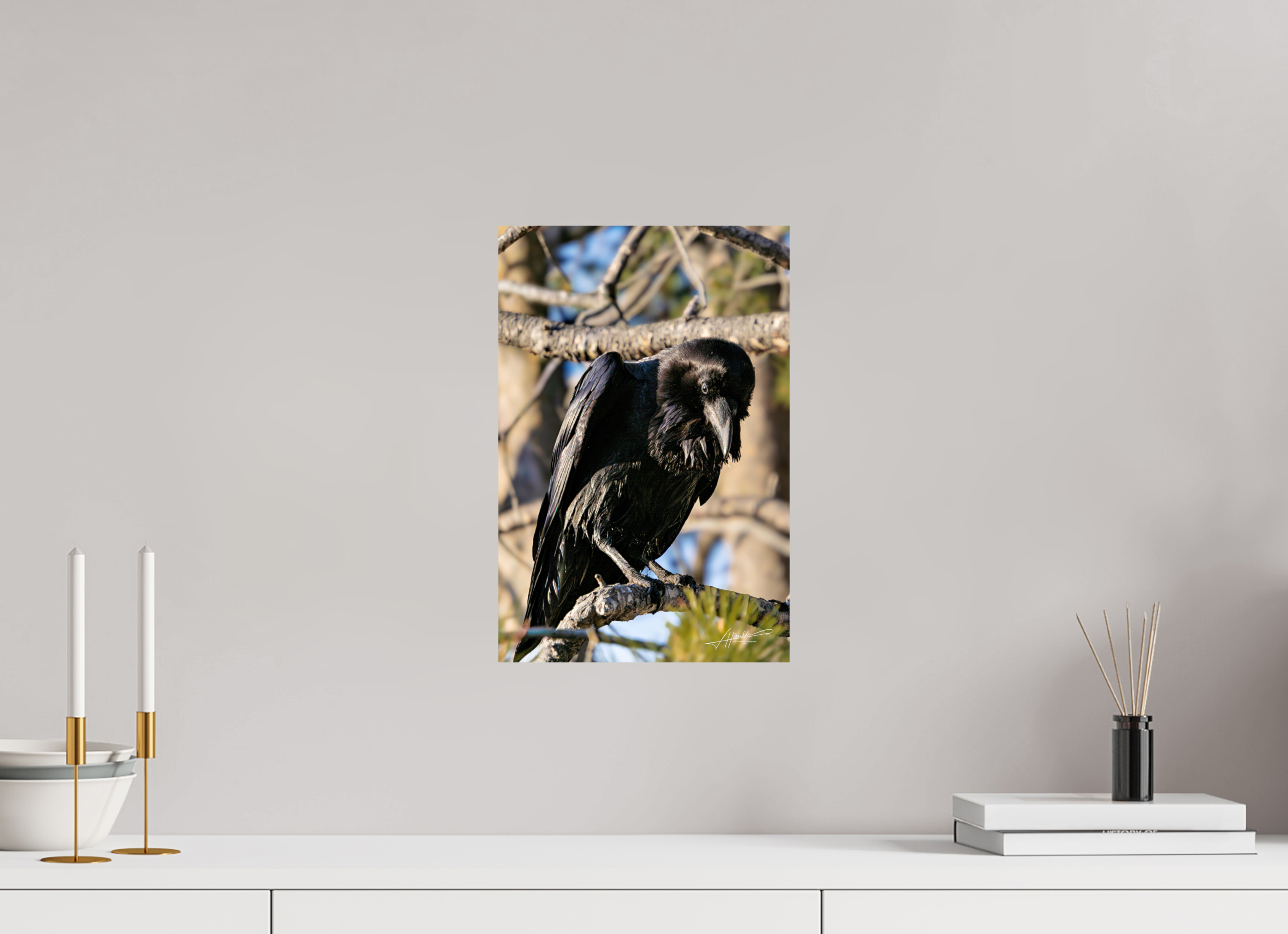 10 x 15″, Fine Art Dibond Morning Raven