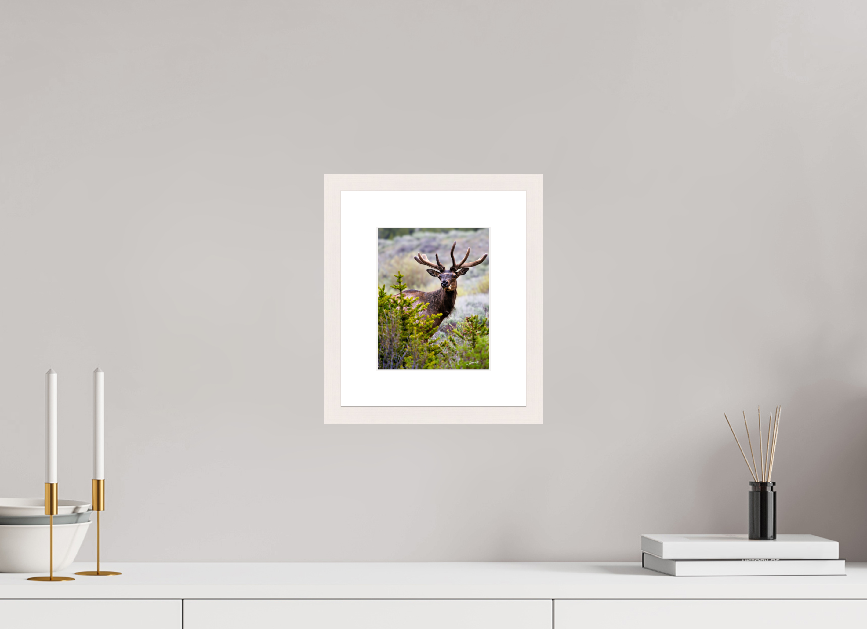 6 x 7.5″, Solid Wood Frame with Passe-partout Velvet Bull