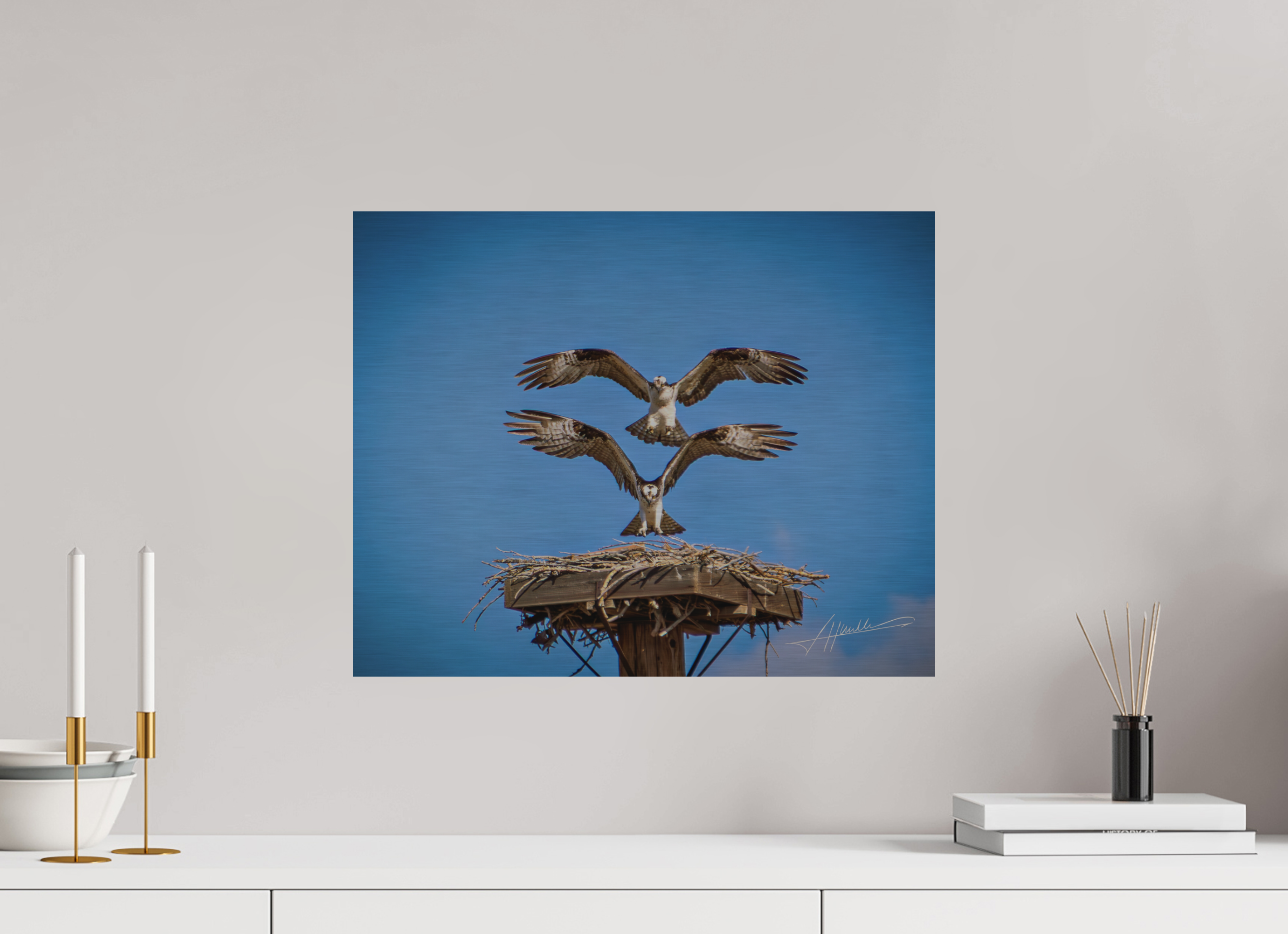 20 x 16″, Direct Brushed Aluminum Two Osprey Landing