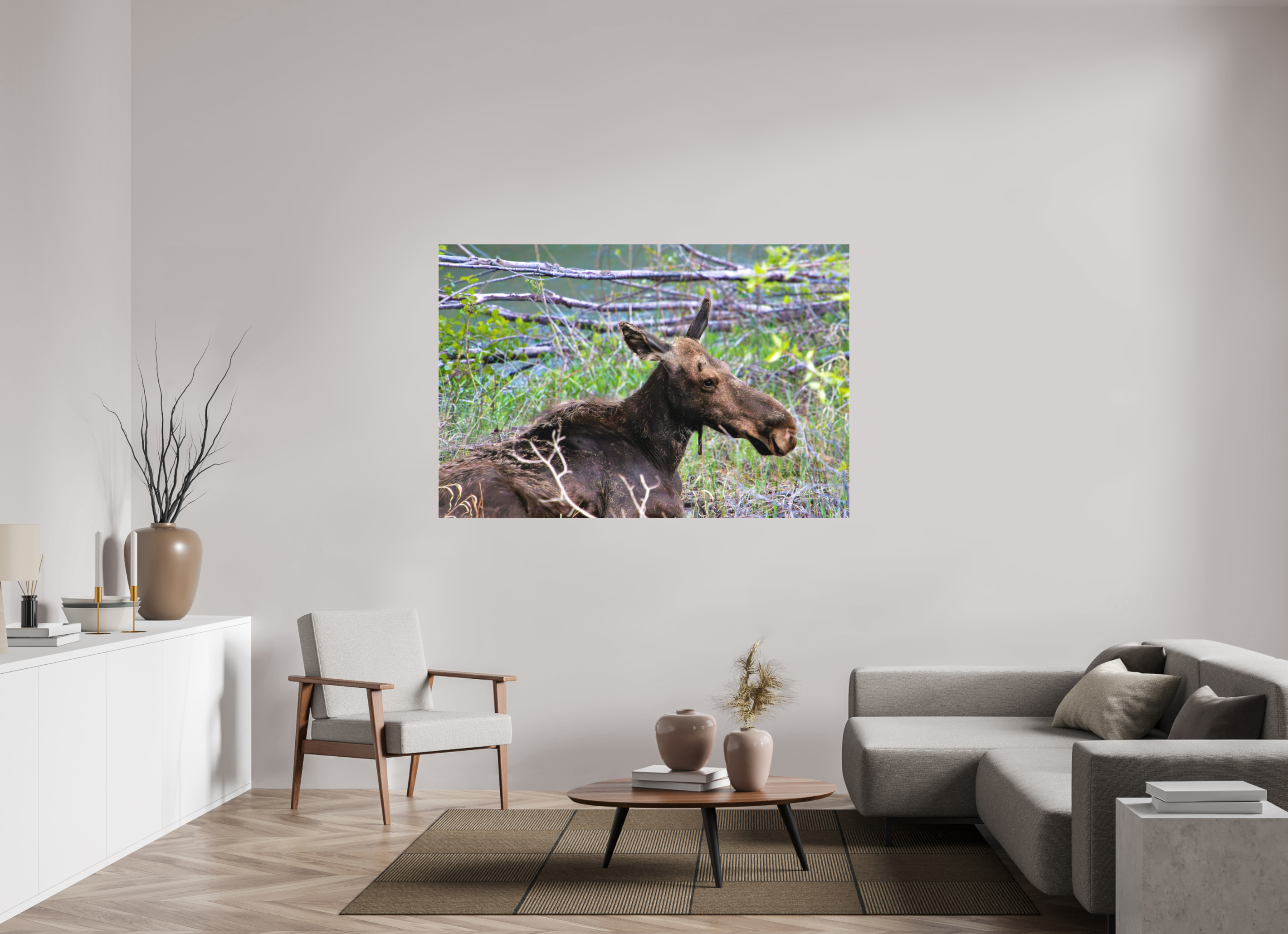 66 x 44″, Fine Pigment Under Acrylic Moose Relaxing