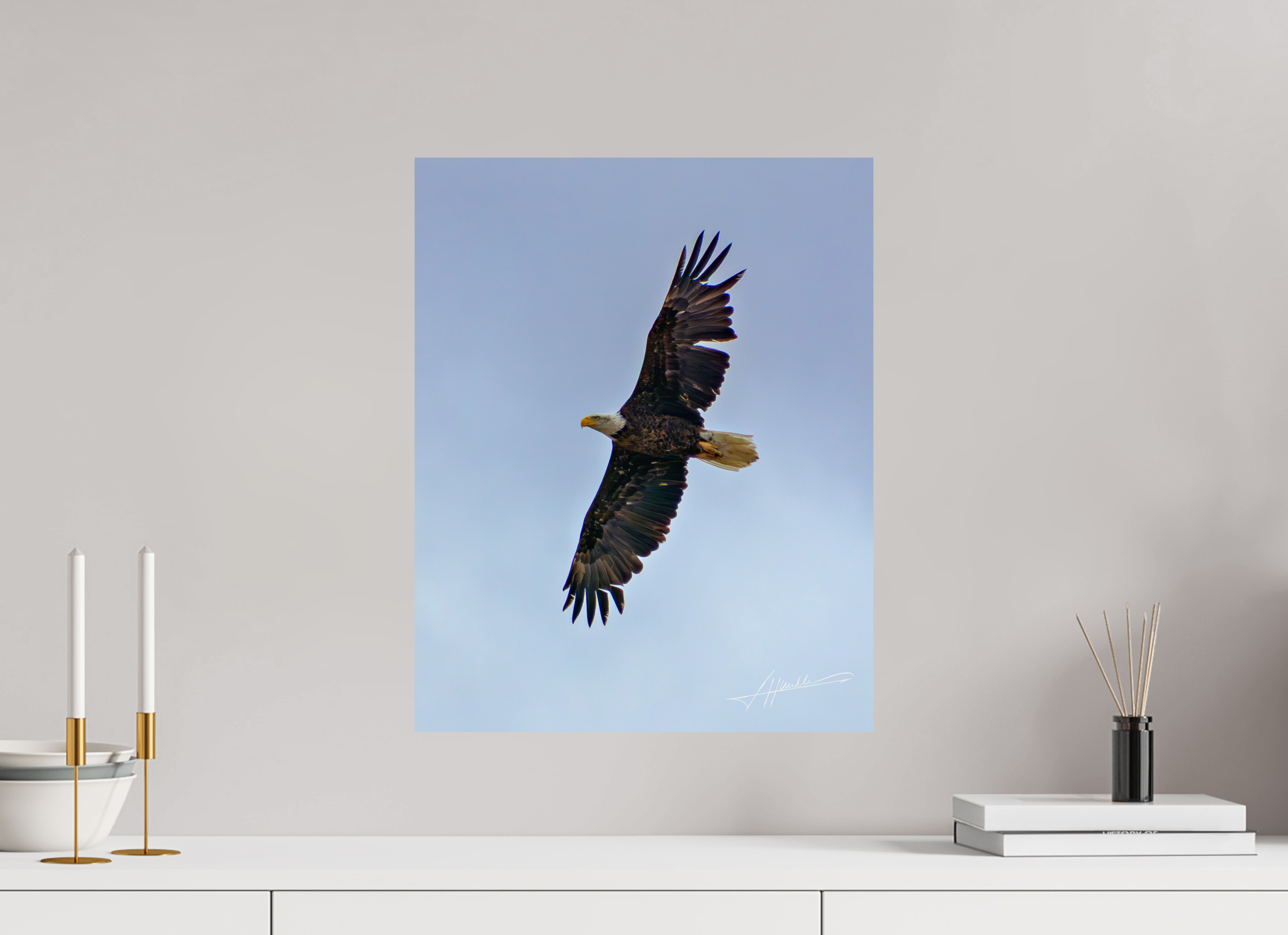 16 x 20″, Fine Art Print Wings Spread